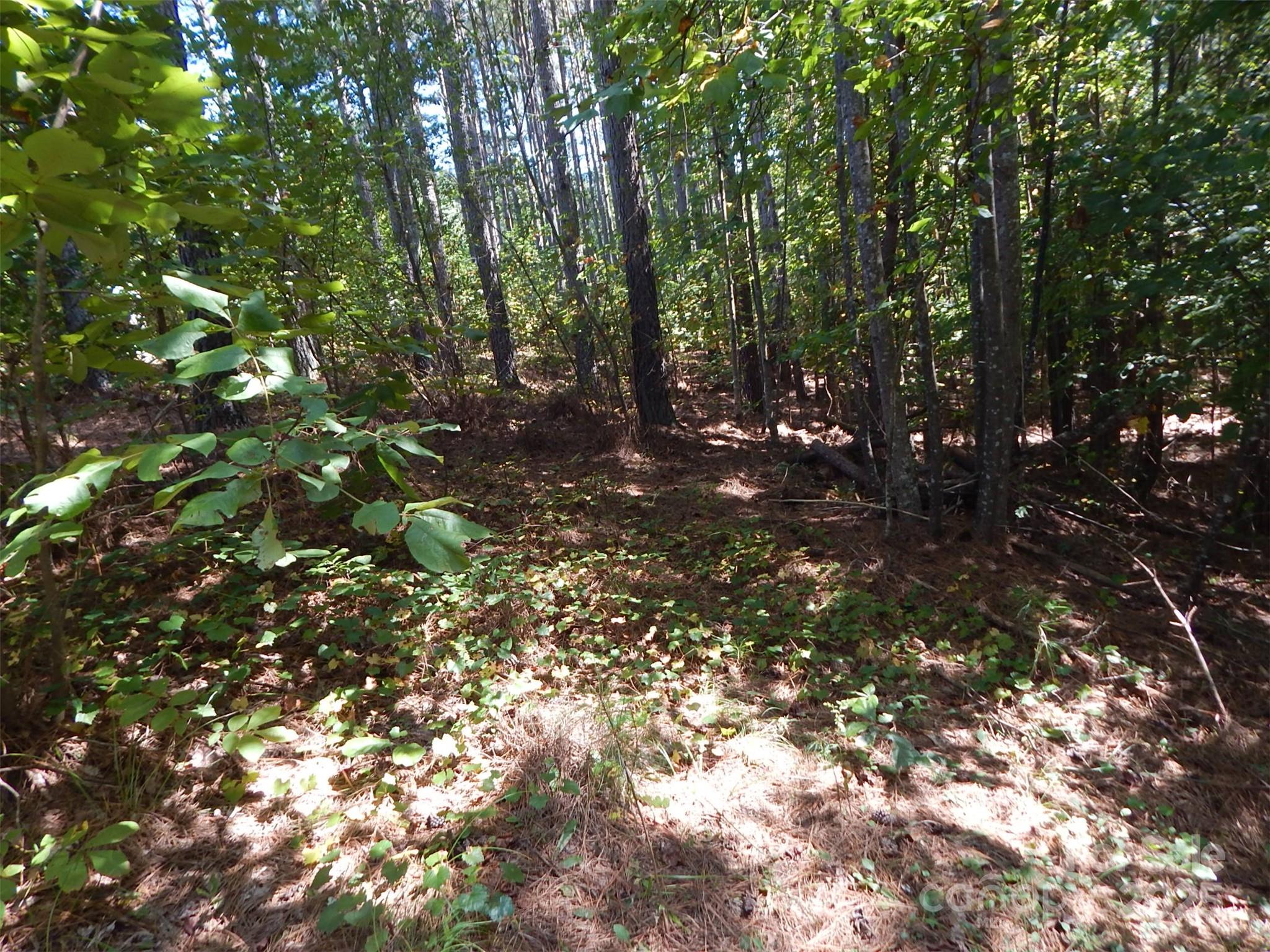 335 Table Rock Trace NW Valdese NC 28690