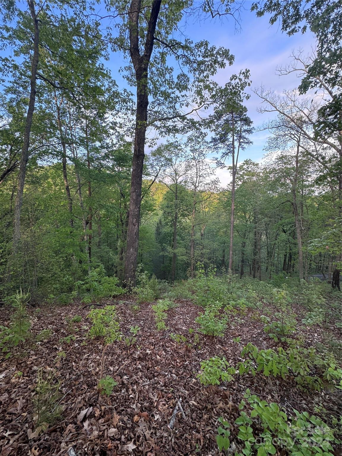 0 Willow Top Lane Lake Lure NC 28746