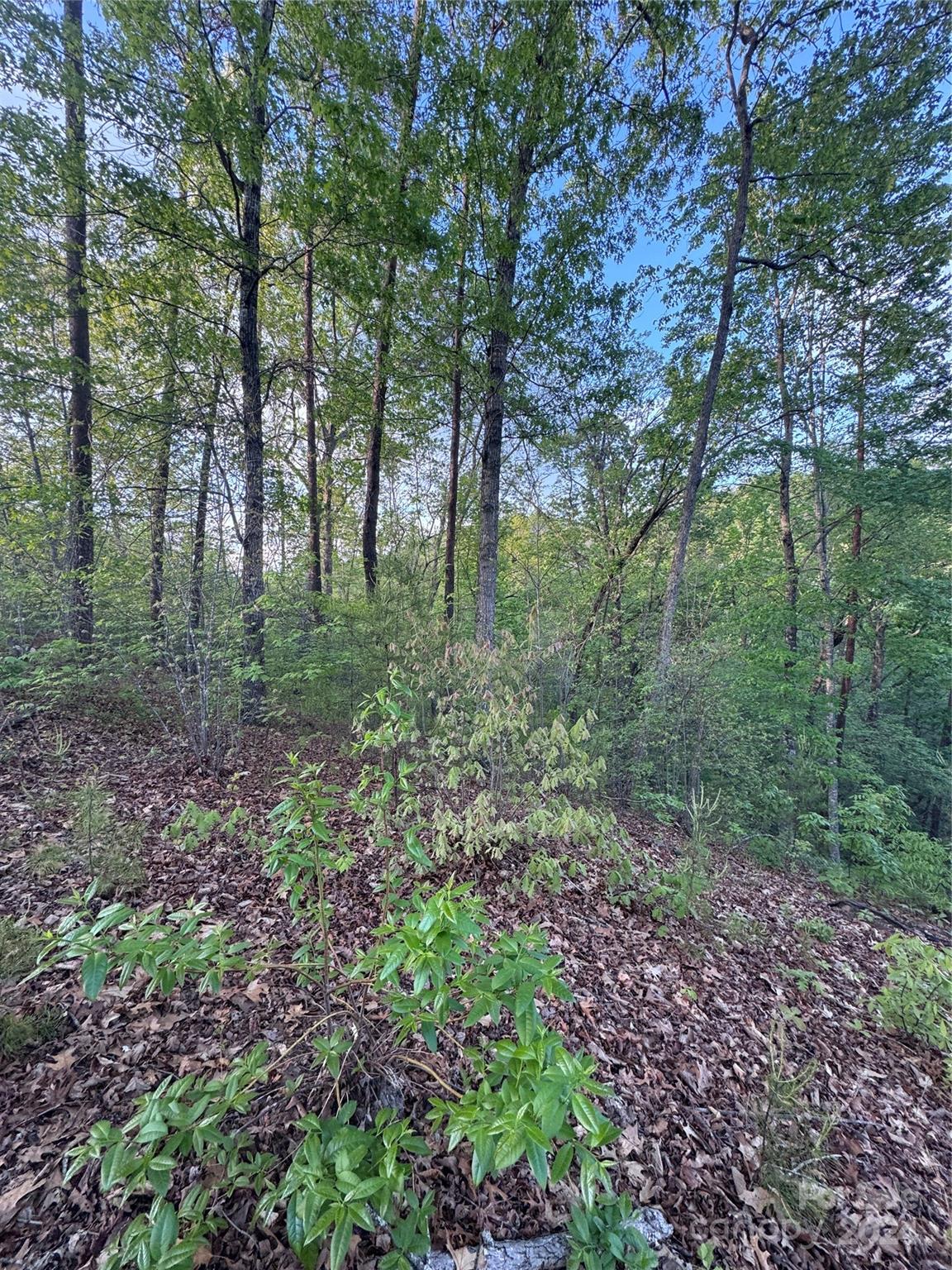0 Willow Top Lane Lake Lure NC 28746