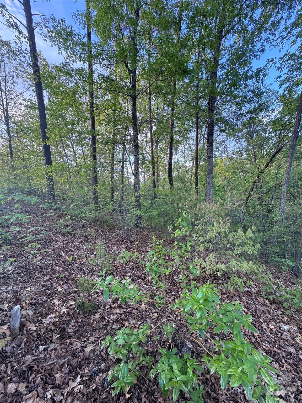 0 Willow Top Lane Lake Lure NC 28746