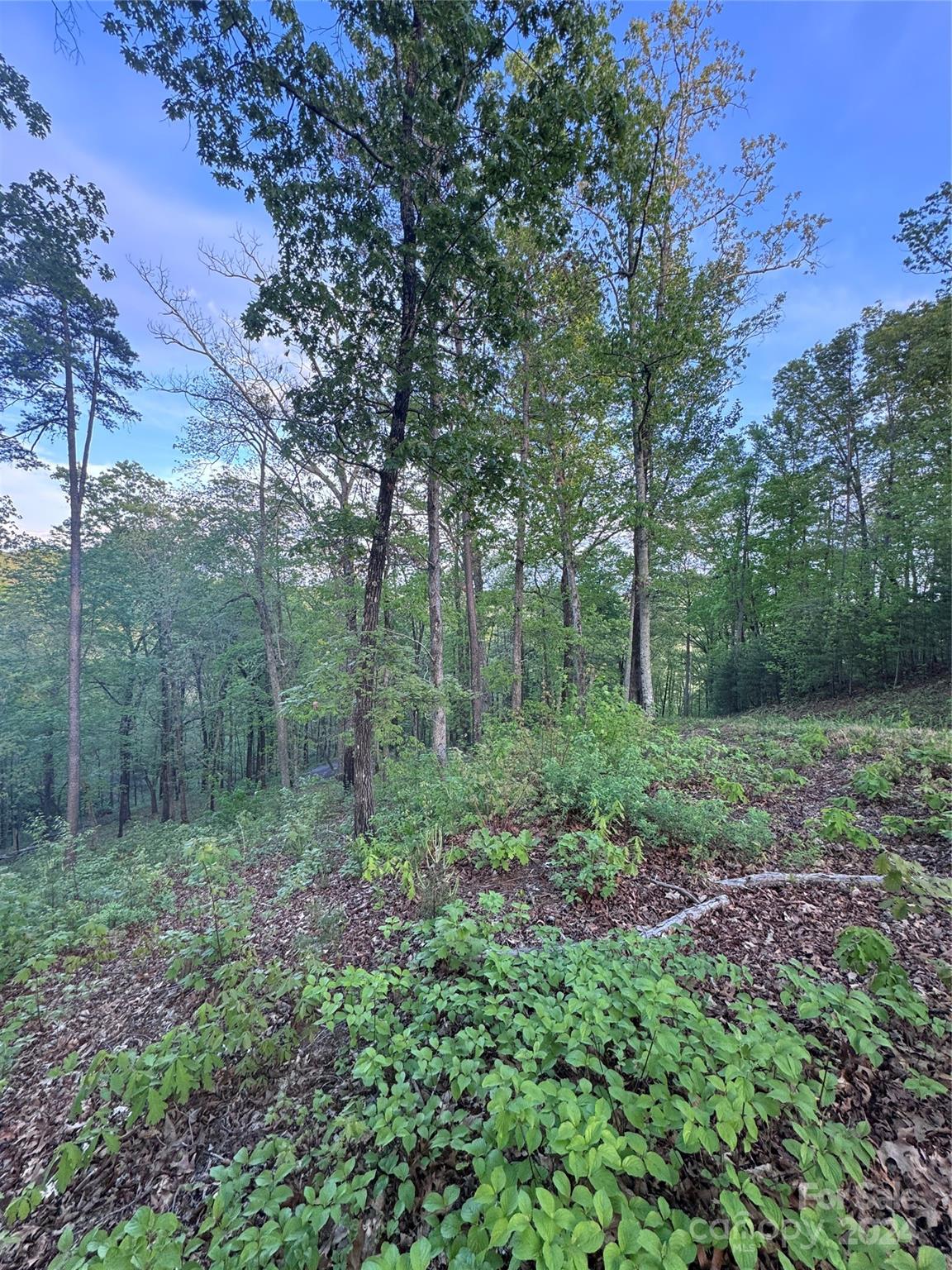 0 Willow Top Lane Lake Lure NC 28746