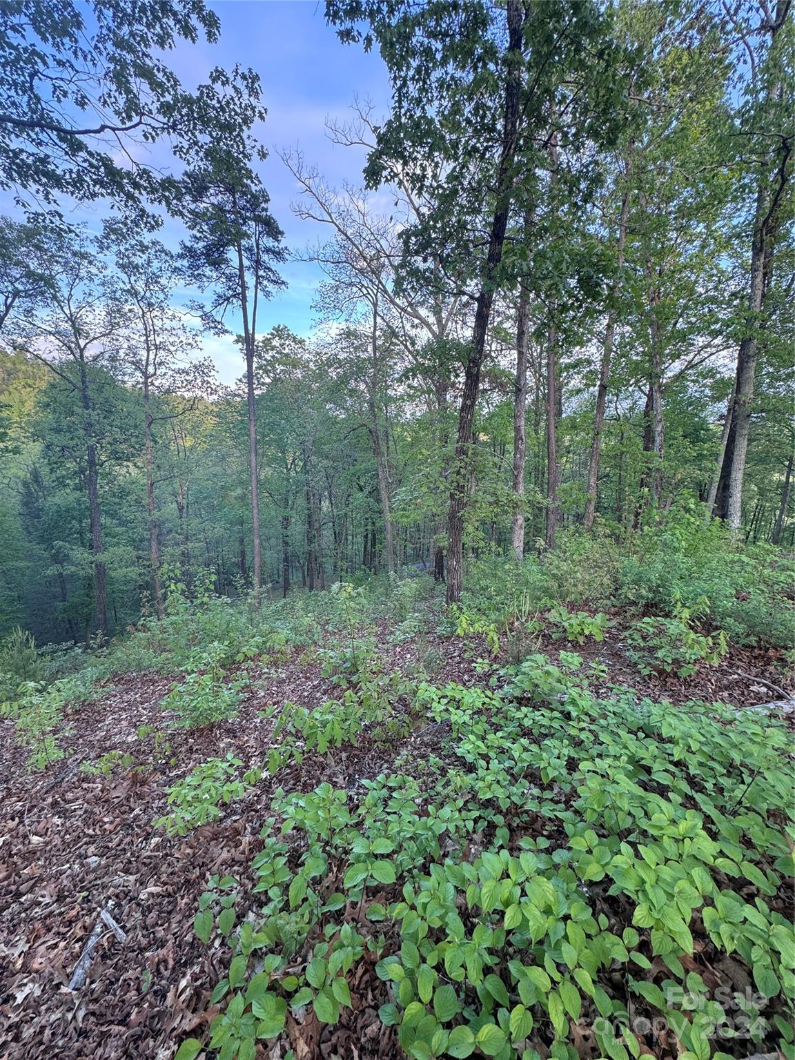 0 Willow Top Lane Lake Lure NC 28746