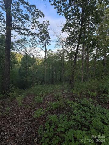 0 Willow Top Lane Lake Lure NC 28746