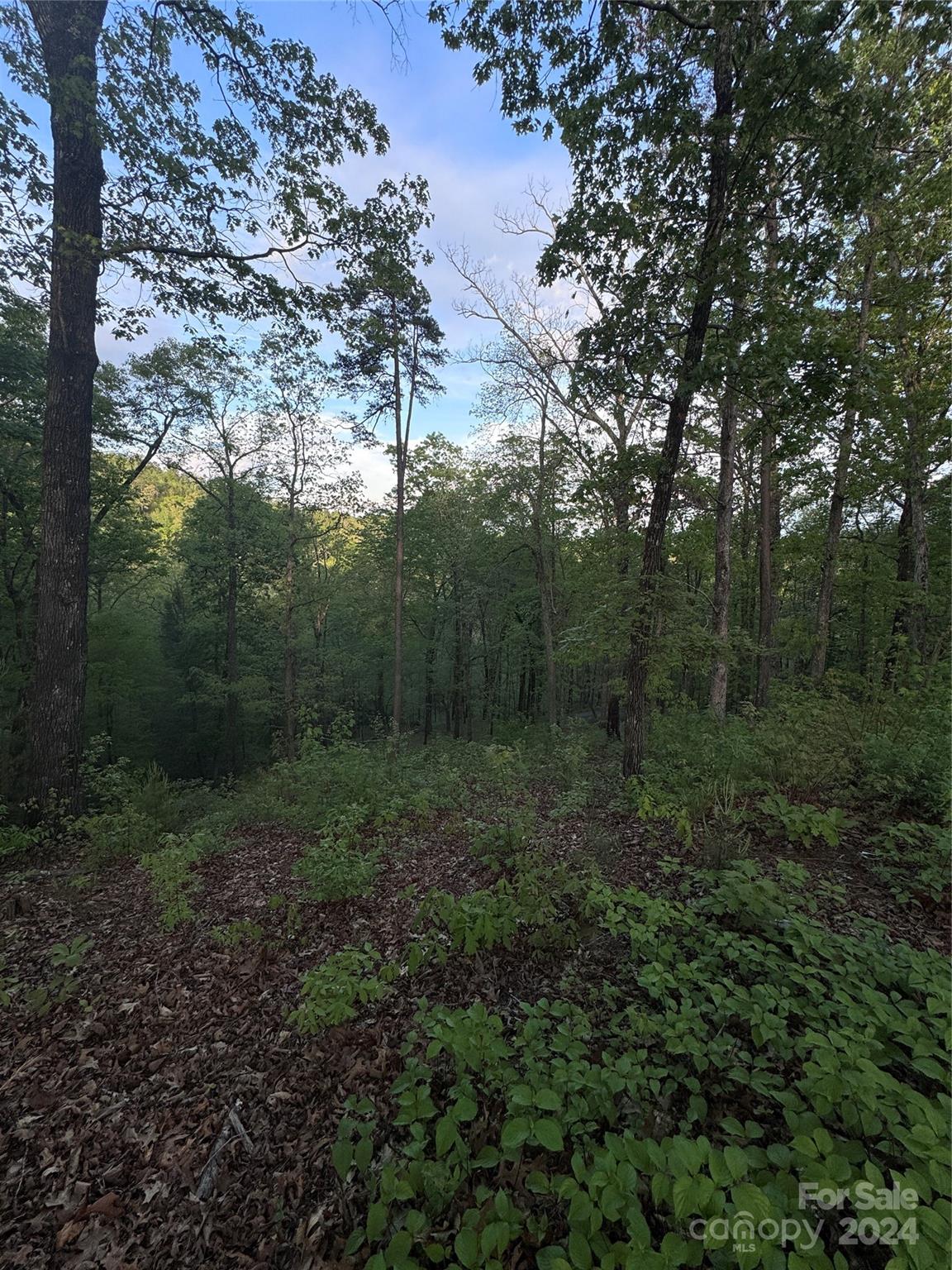 0 Willow Top Lane Lake Lure NC 28746