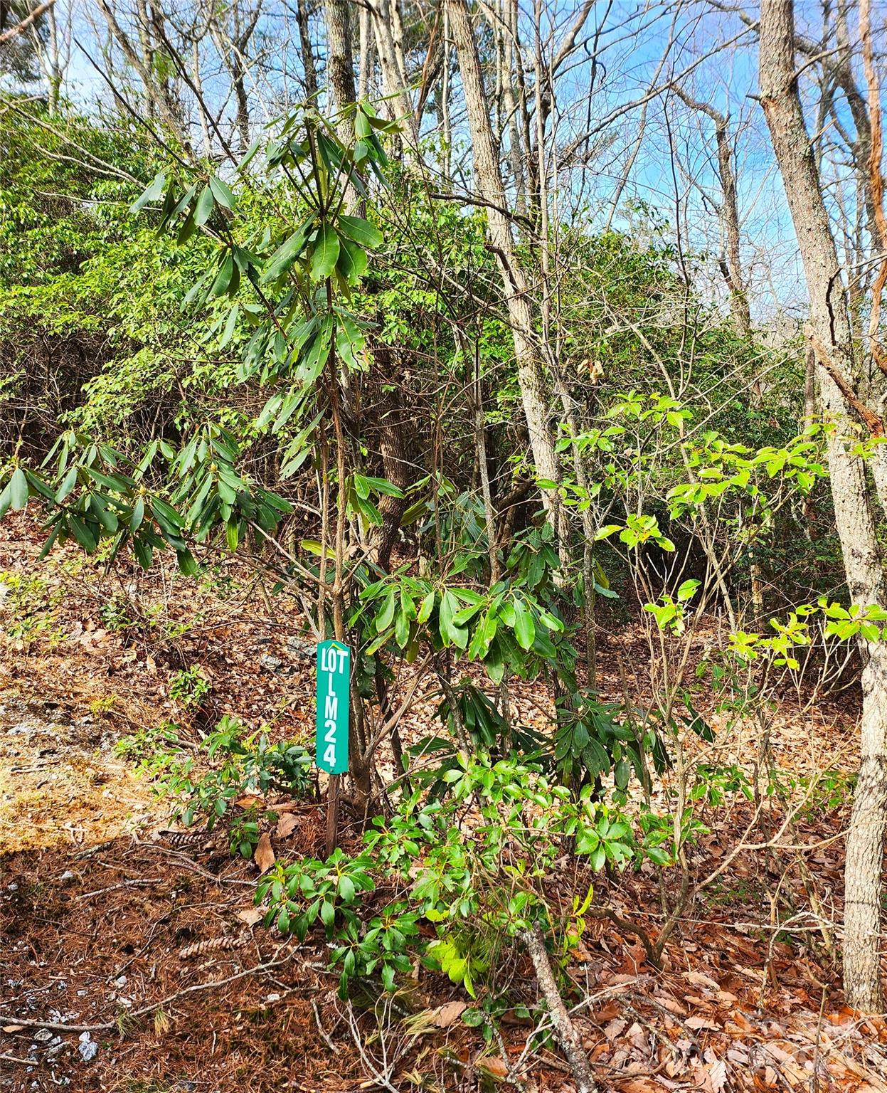 Lot 24 Lakeside Trail Lake Toxaway NC 28747