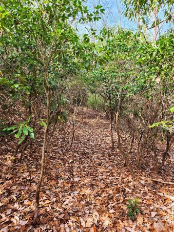 Lot 24 Lakeside Trail Lake Toxaway NC 28747