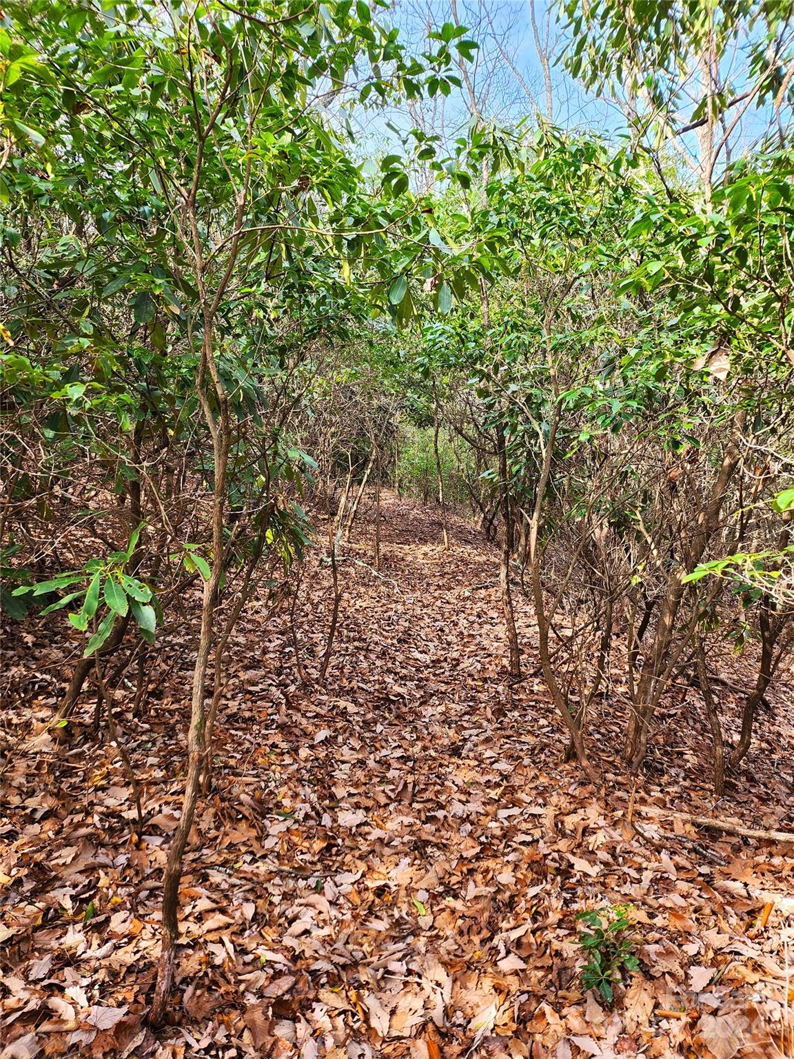 Lot 24 Lakeside Trail Lake Toxaway NC 28747