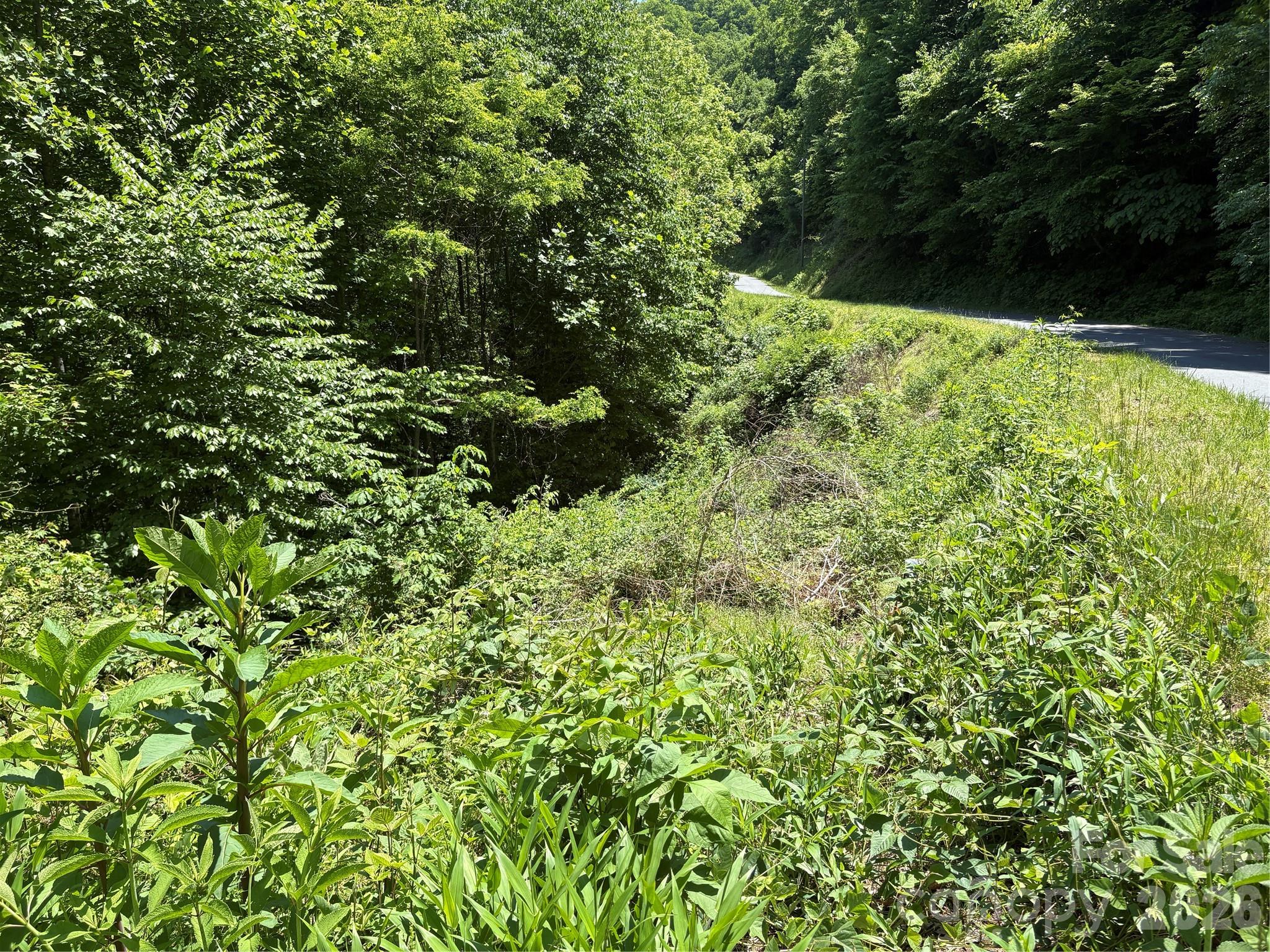 0 Timber Estates Road Bryson City NC 28713