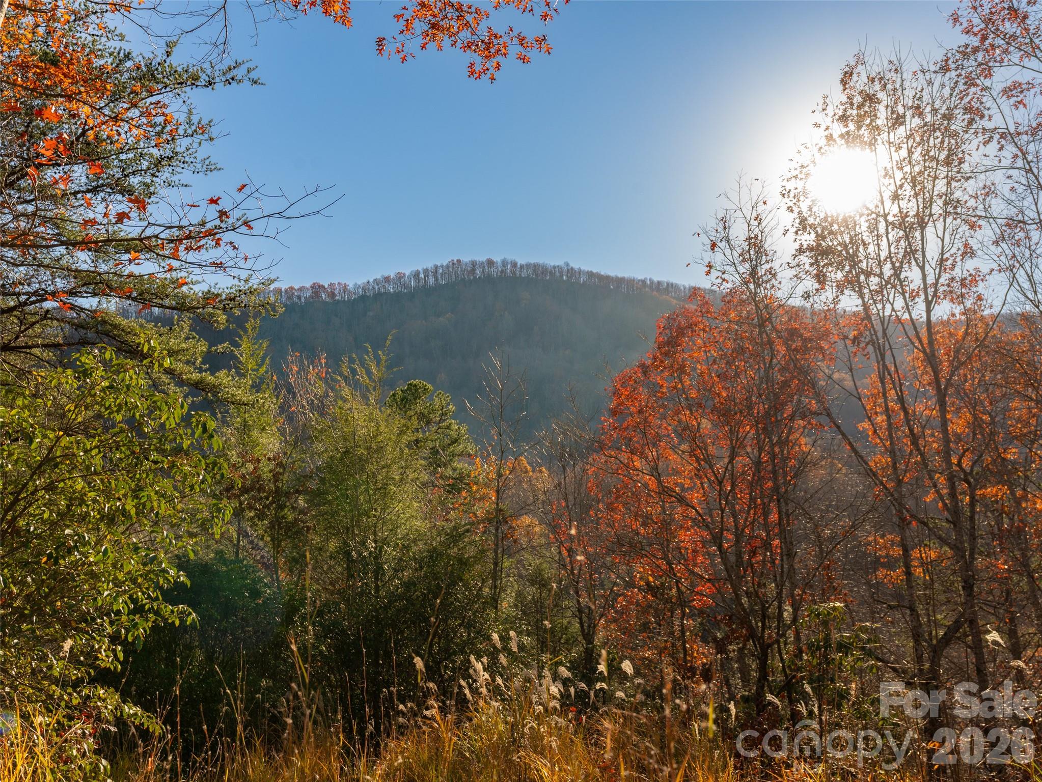 263 Nuthatch Lane Black Mountain NC 28711