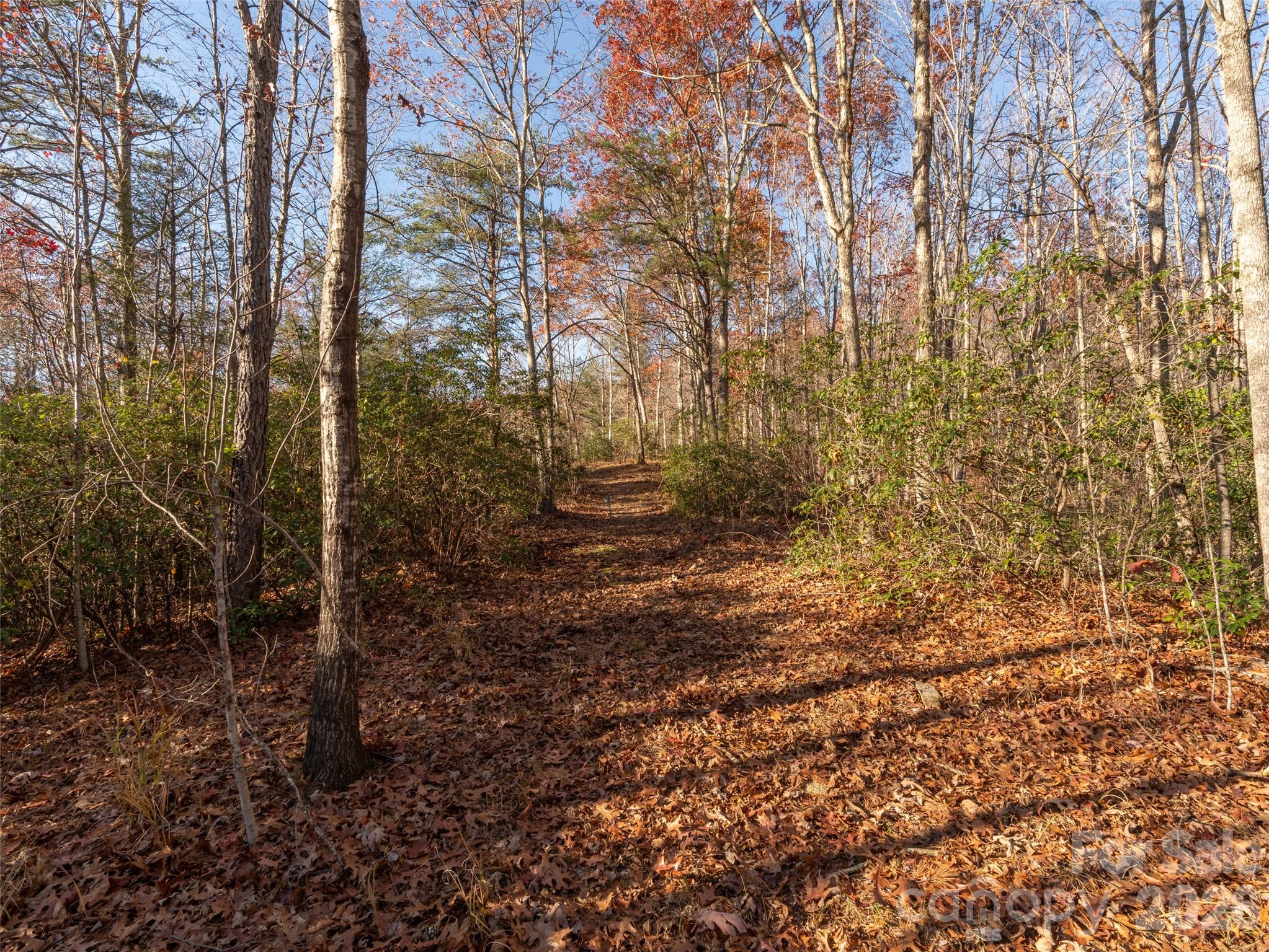 263 Nuthatch Lane Black Mountain NC 28711