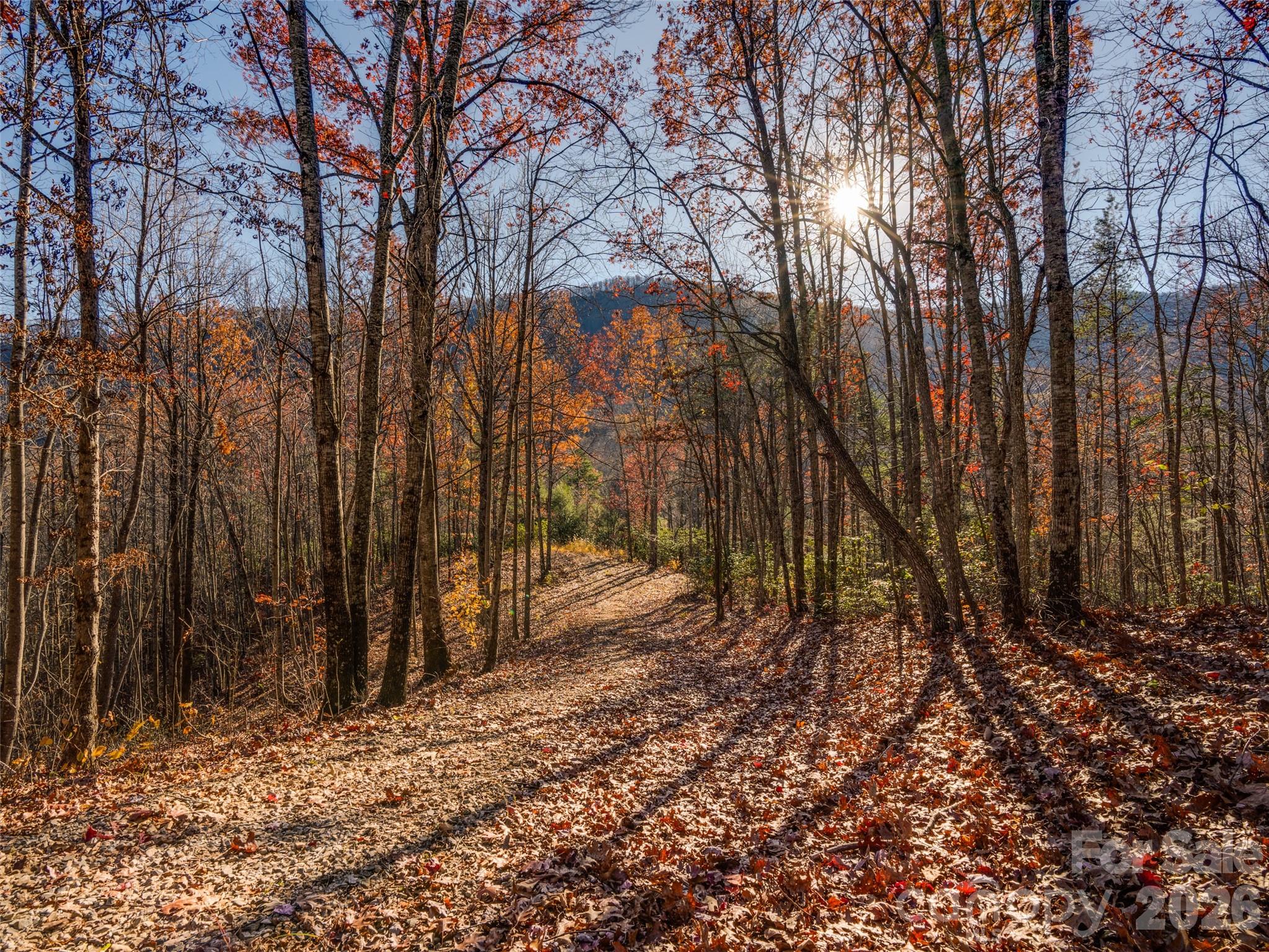 263 Nuthatch Lane Black Mountain NC 28711