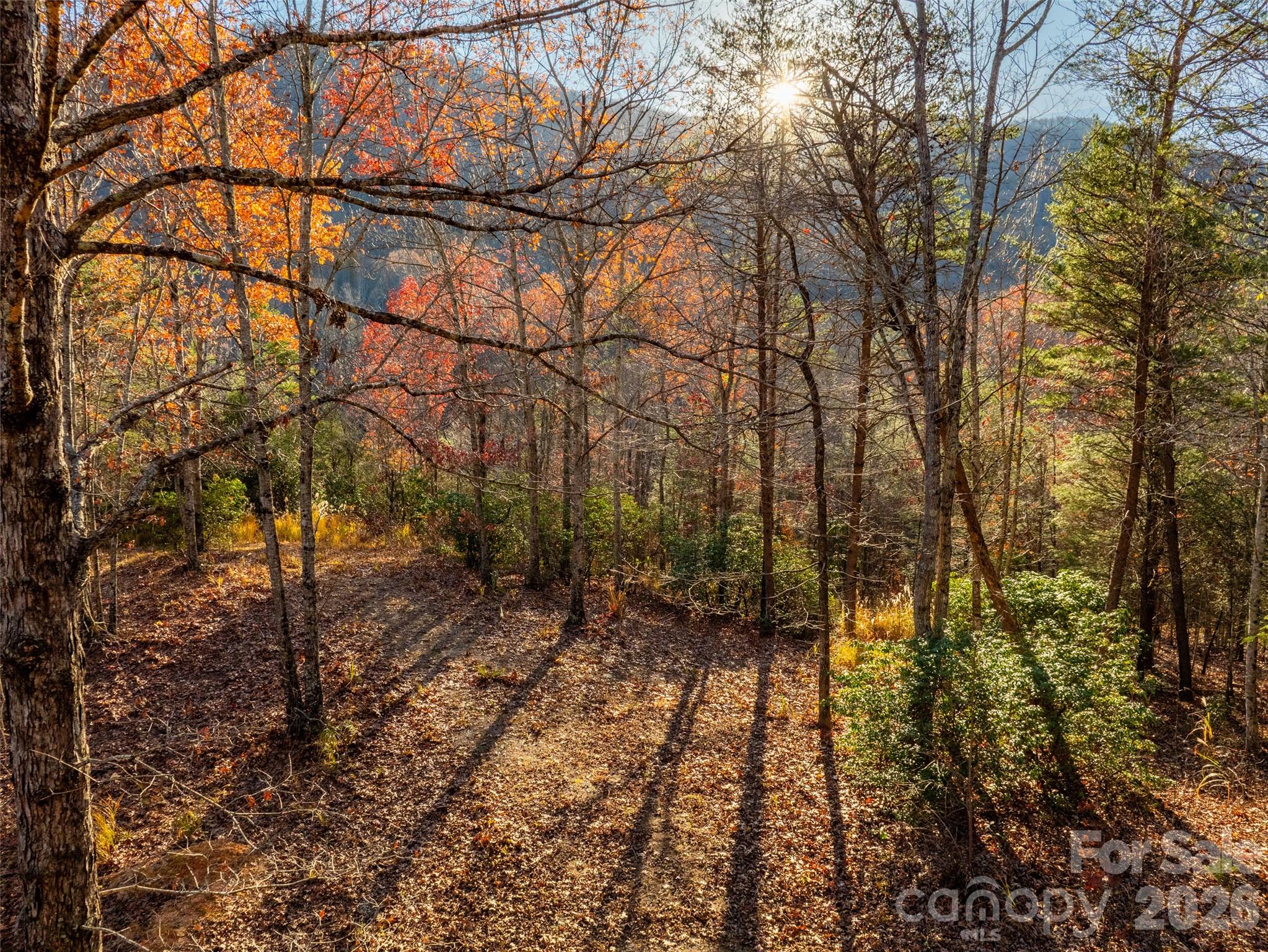 263 Nuthatch Lane Black Mountain NC 28711