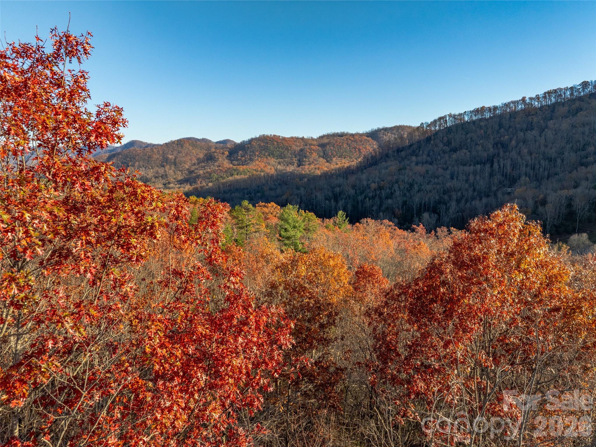 263 Nuthatch Lane Black Mountain NC 28711