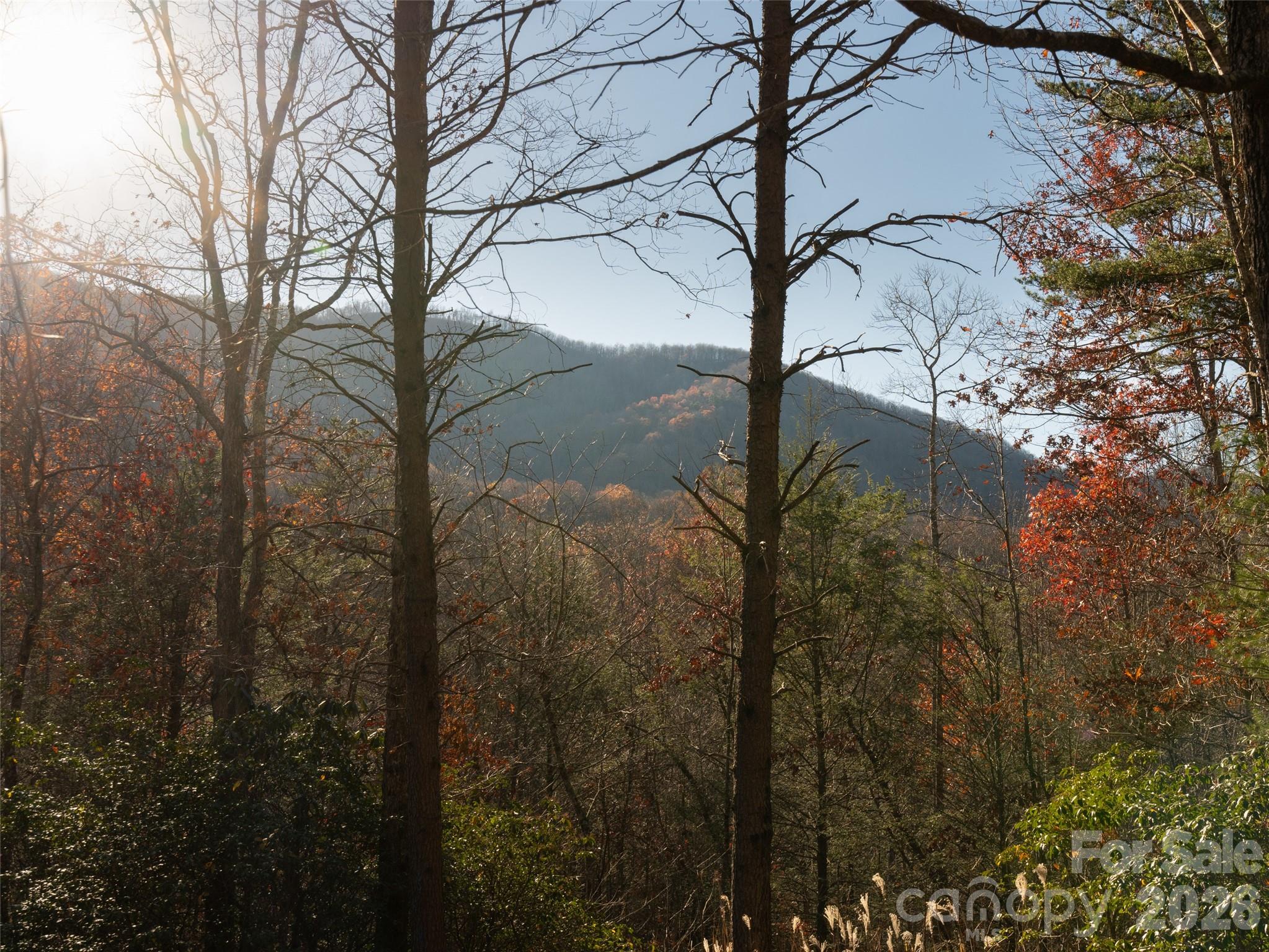 263 Nuthatch Lane Black Mountain NC 28711