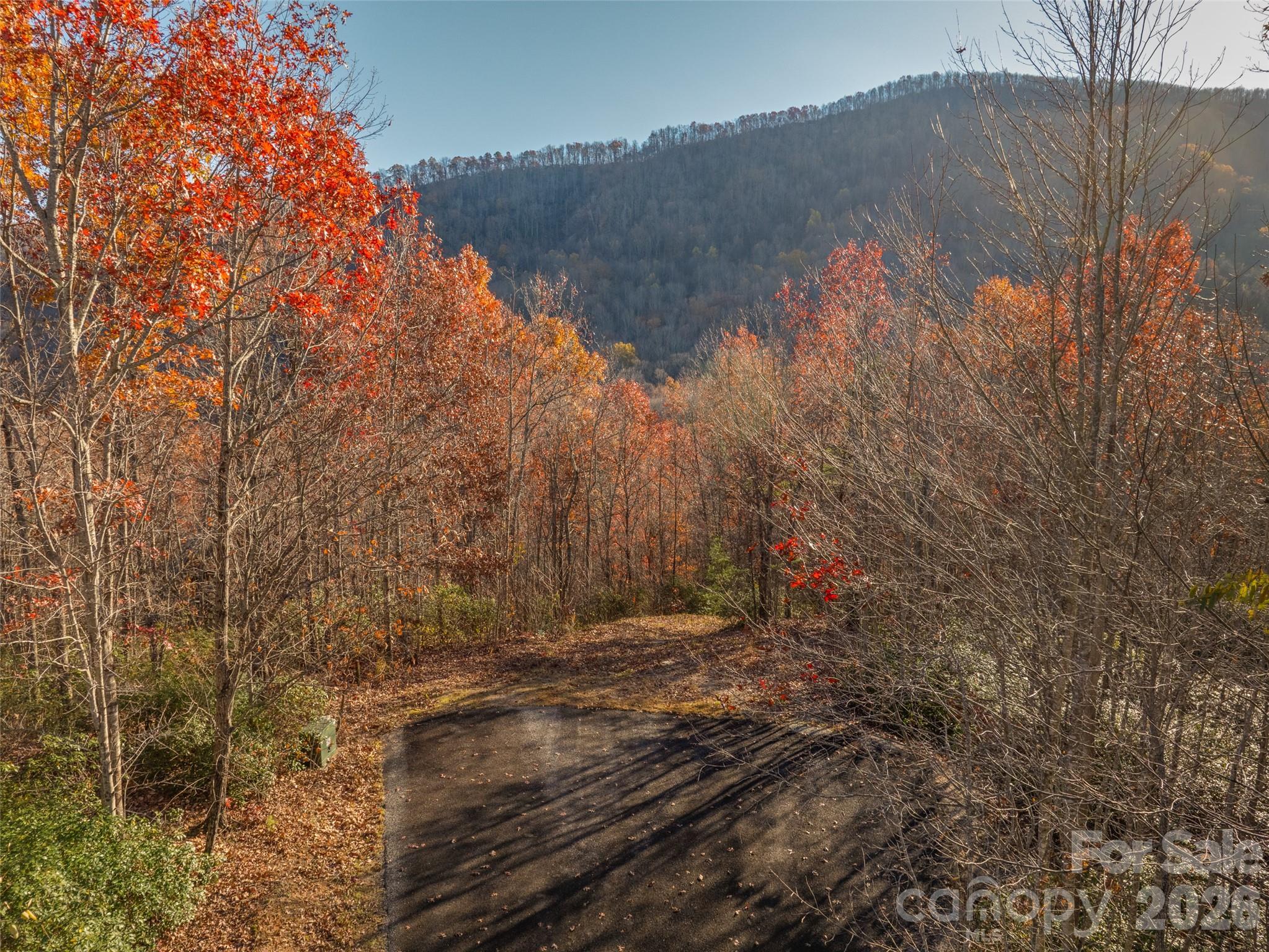 263 Nuthatch Lane Black Mountain NC 28711