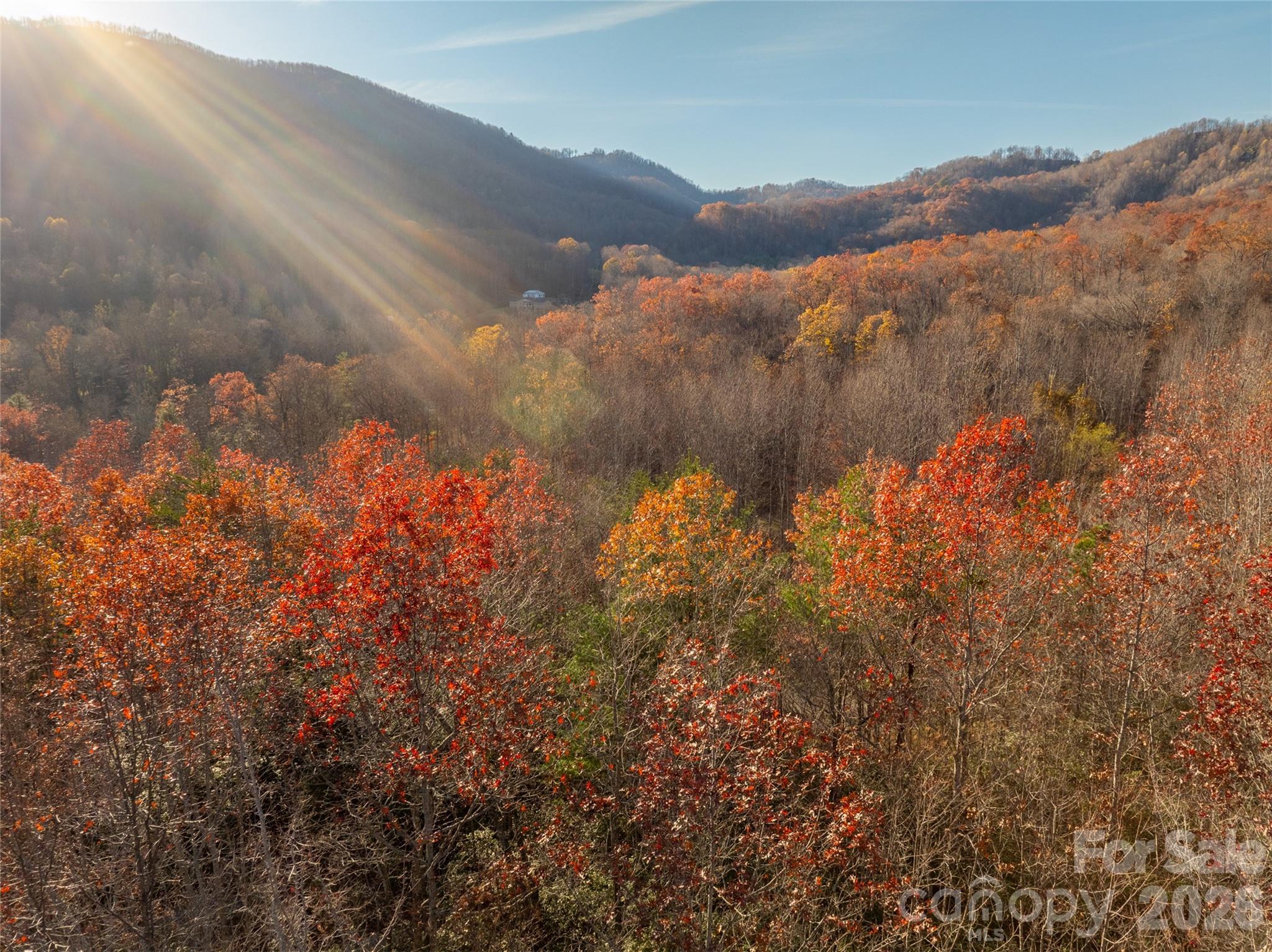 263 Nuthatch Lane Black Mountain NC 28711