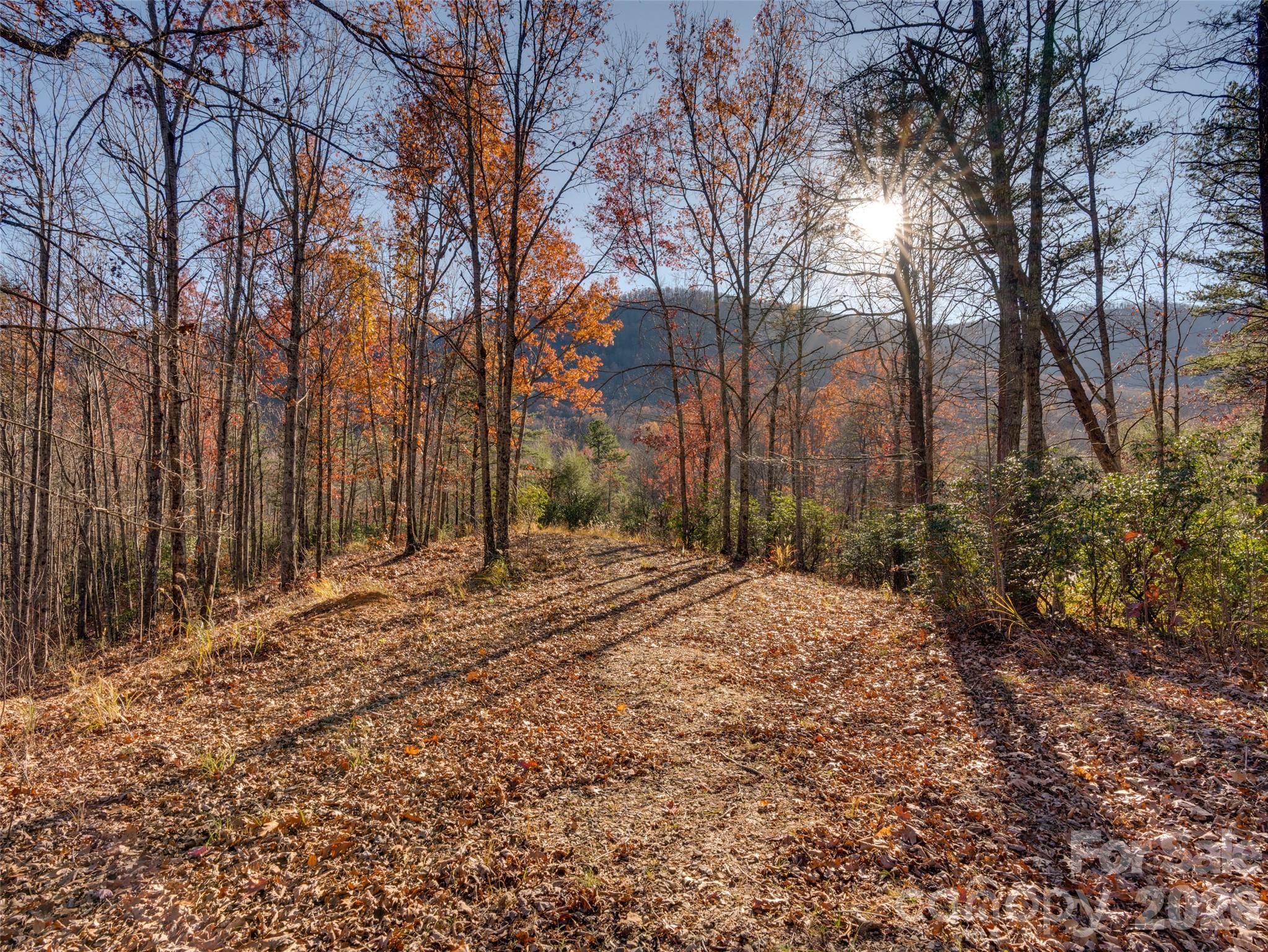263 Nuthatch Lane Black Mountain NC 28711
