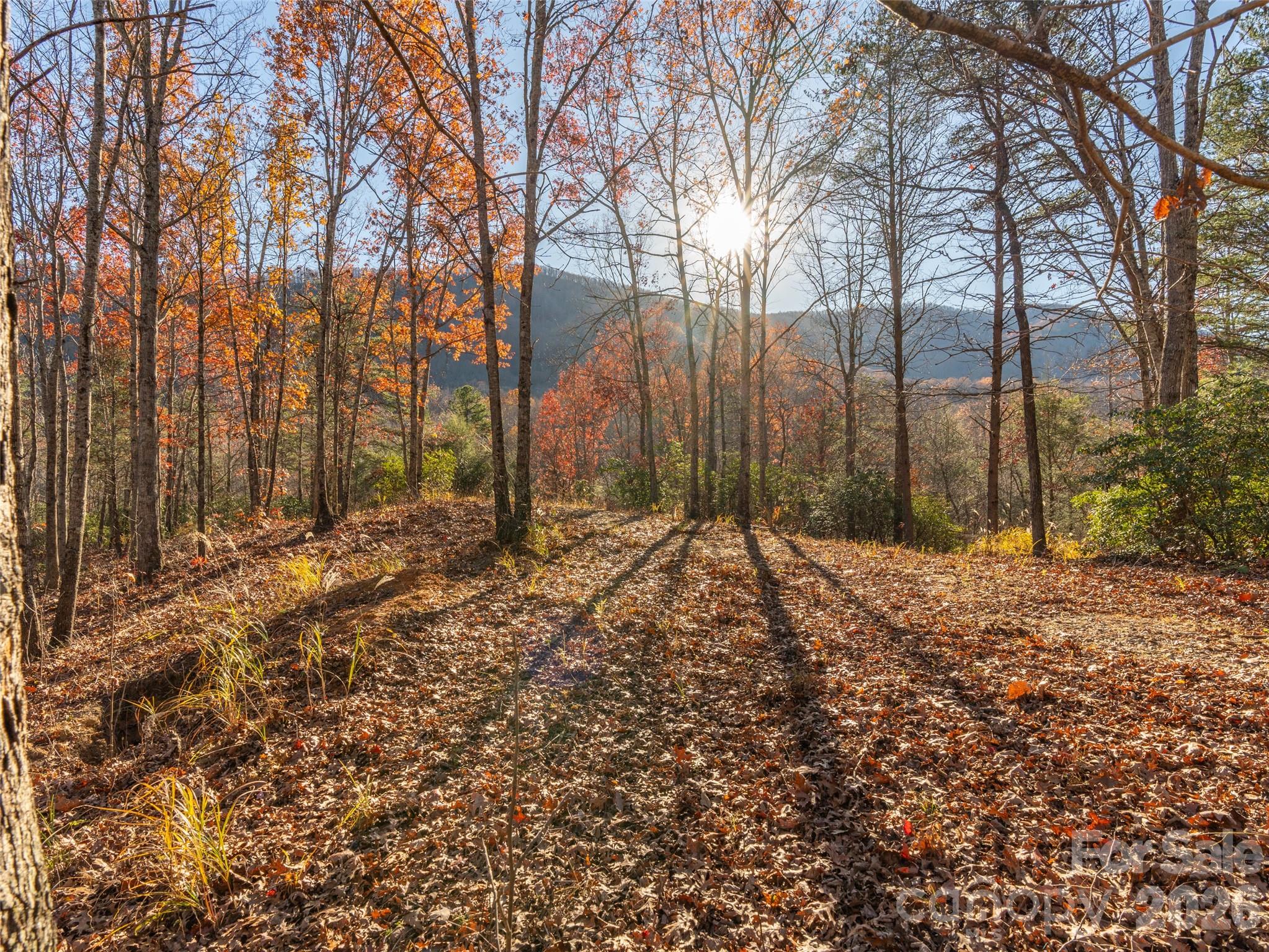 263 Nuthatch Lane Black Mountain NC 28711