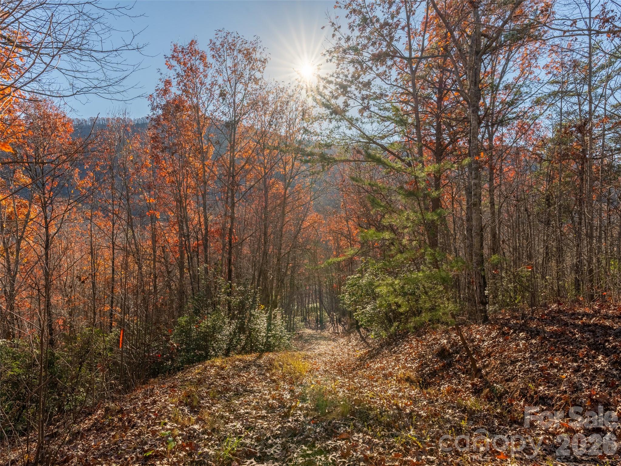263 Nuthatch Lane Black Mountain NC 28711