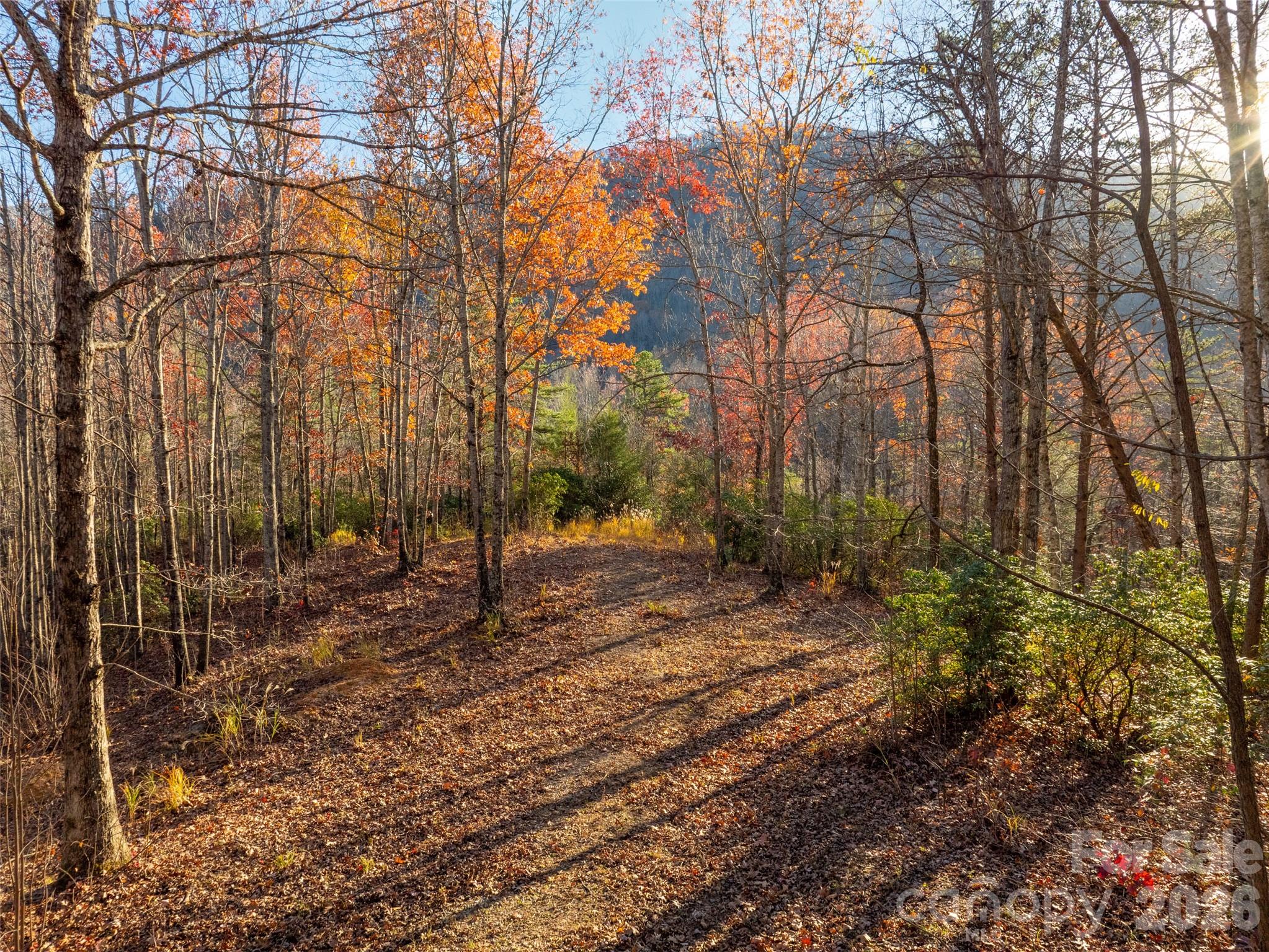 263 Nuthatch Lane Black Mountain NC 28711