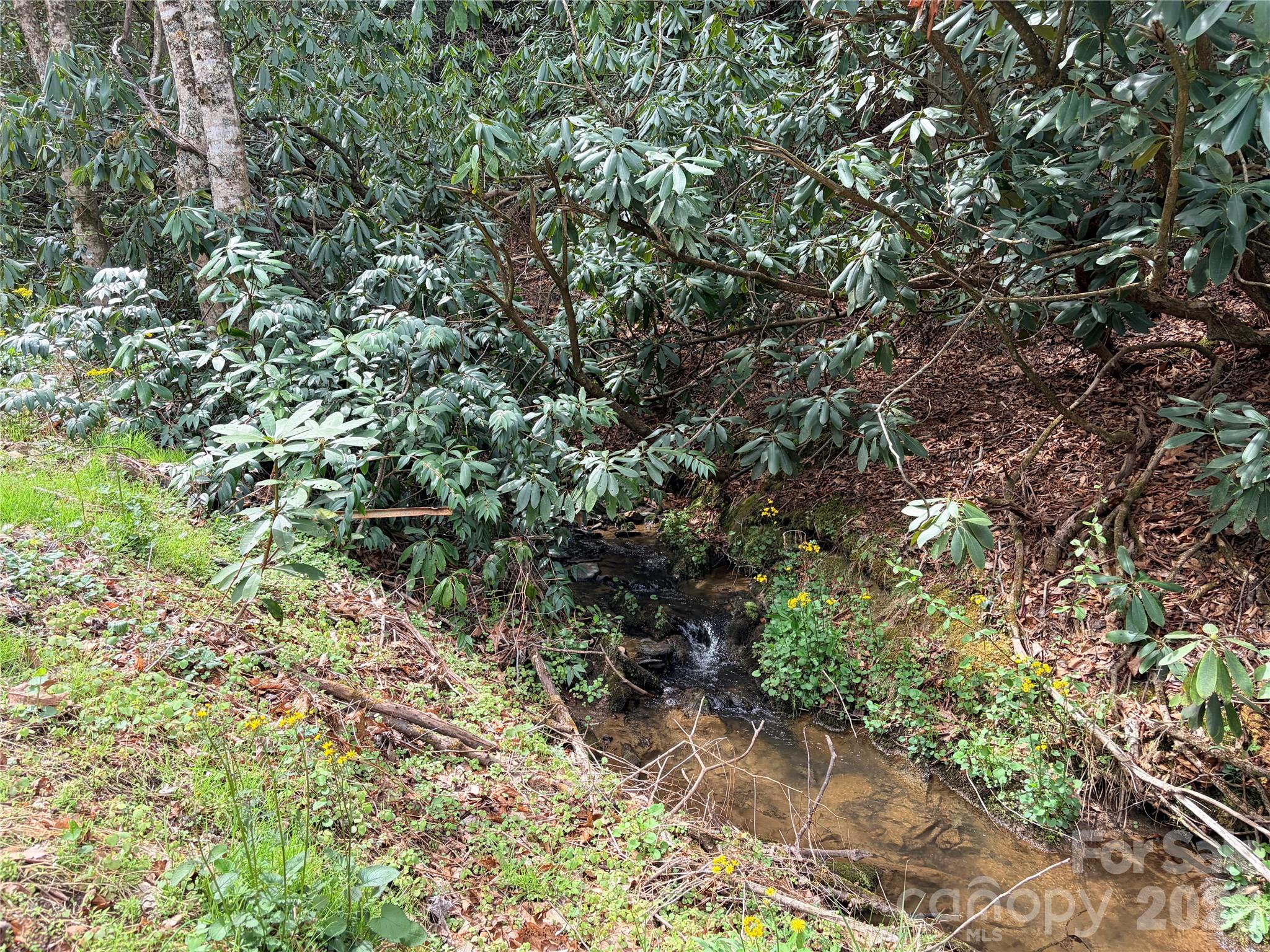 00 White Oak Road Waynesville NC 28785