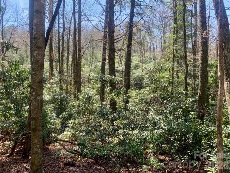 Lot 20a Indian Lake Road Lake Toxaway NC 28747