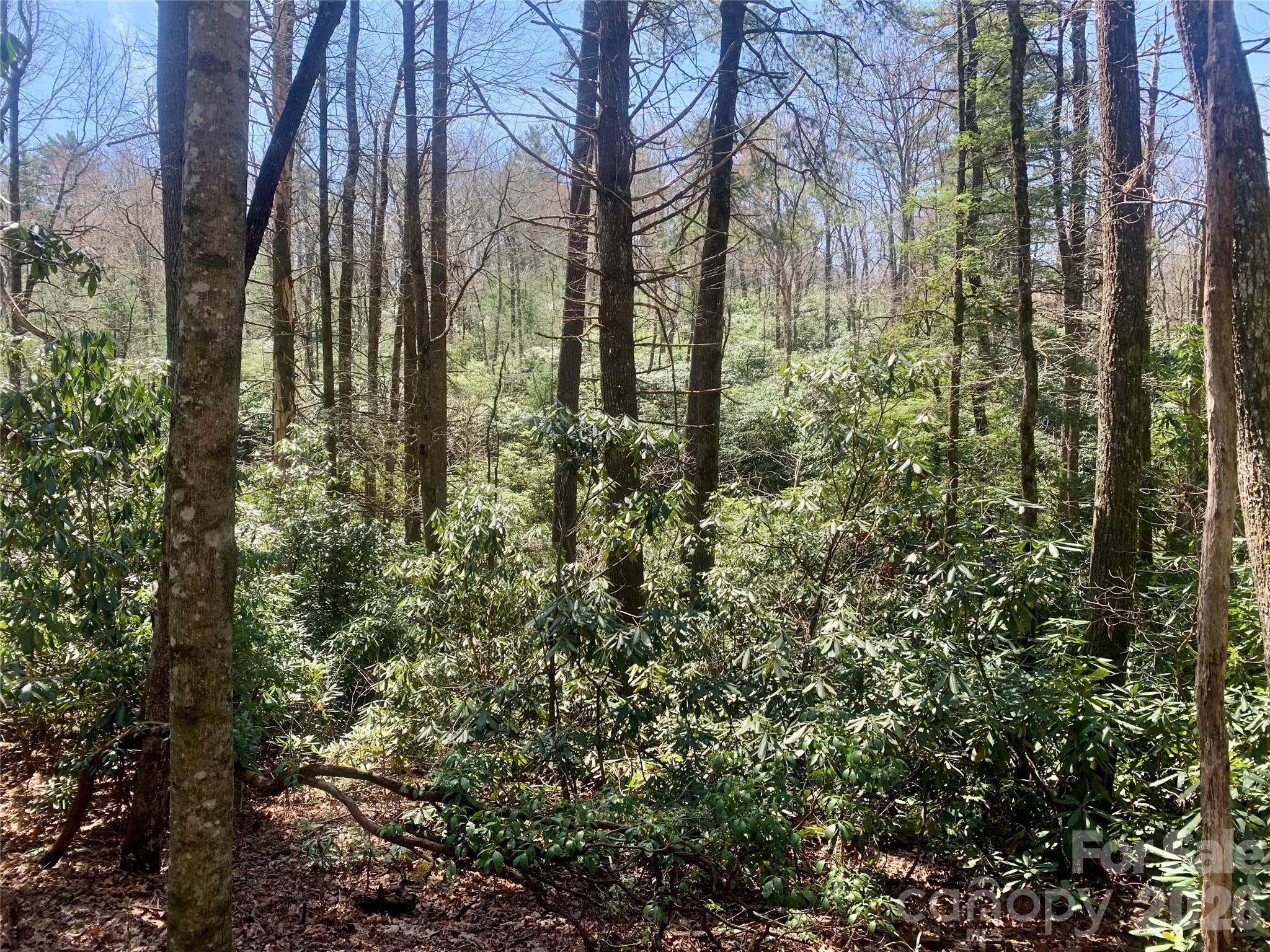 Lot 20a Indian Lake Road Lake Toxaway NC 28747