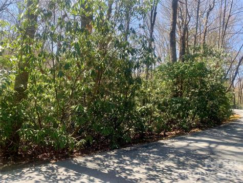 Lot 20a Indian Lake Road Lake Toxaway NC 28747
