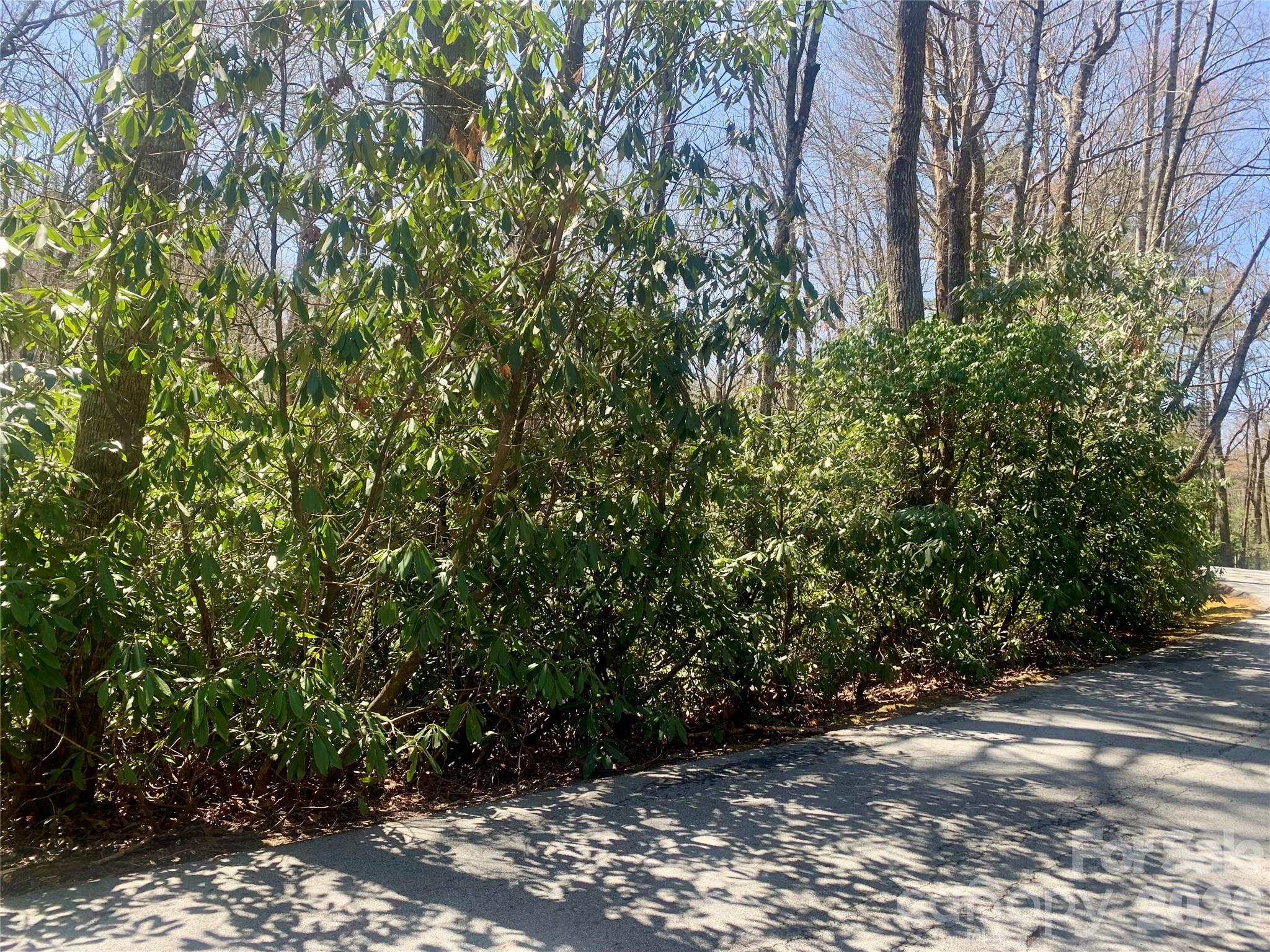Lot 20a Indian Lake Road Lake Toxaway NC 28747