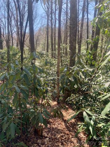 Lot 20a Indian Lake Road Lake Toxaway NC 28747