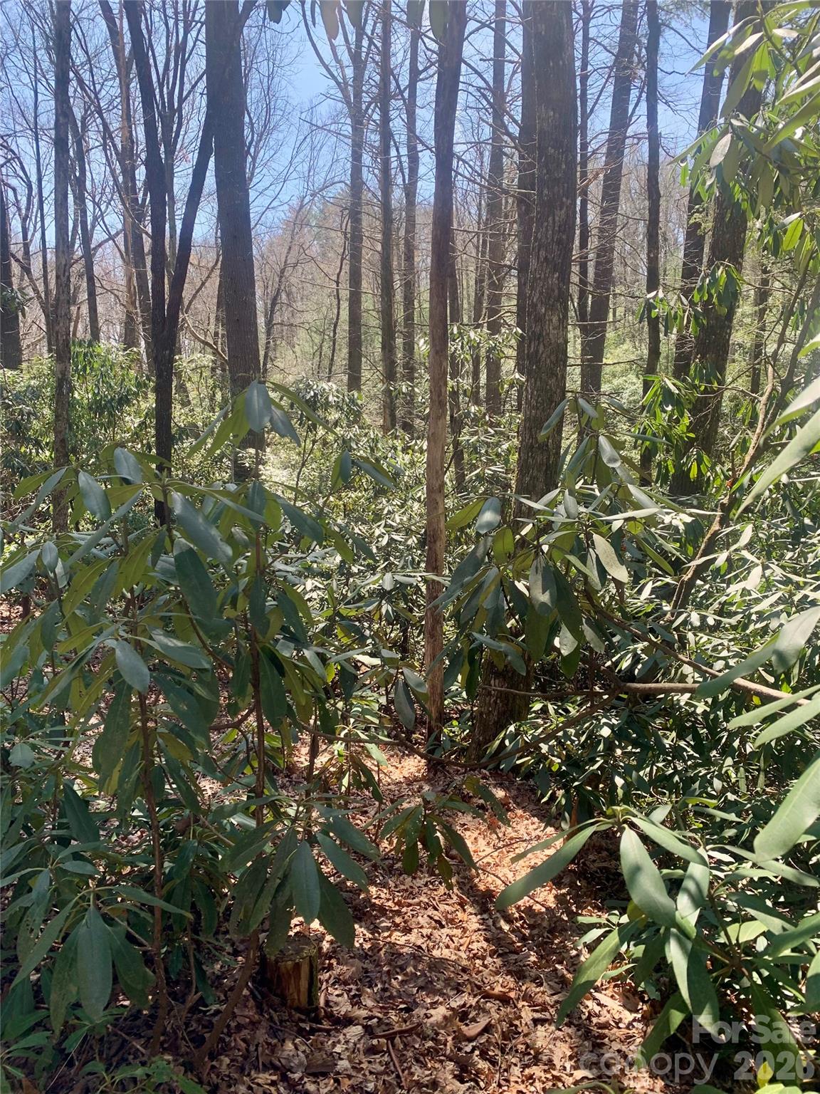 Lot 20a Indian Lake Road Lake Toxaway NC 28747