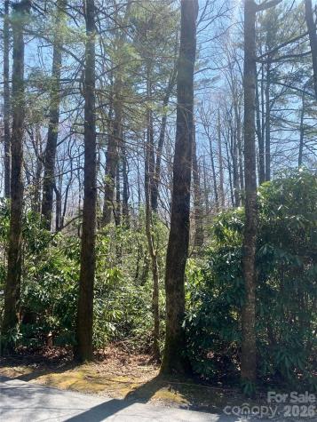 Lot 20a Indian Lake Road Lake Toxaway NC 28747