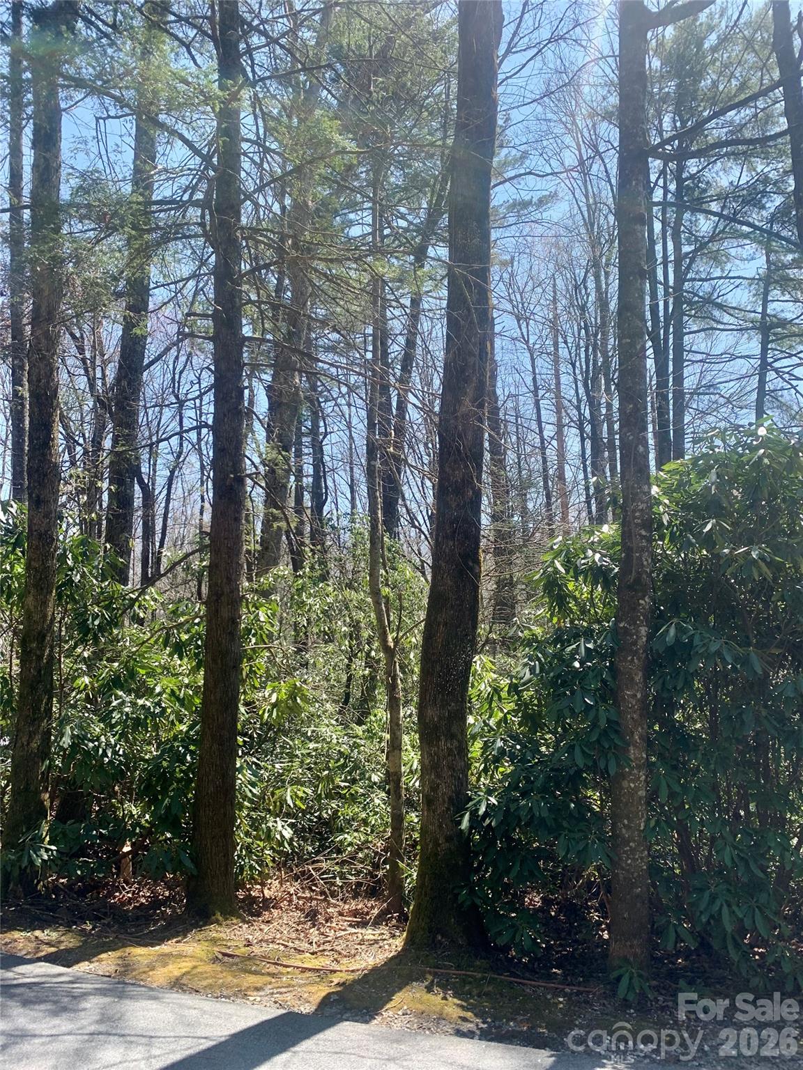 Lot 20a Indian Lake Road Lake Toxaway NC 28747