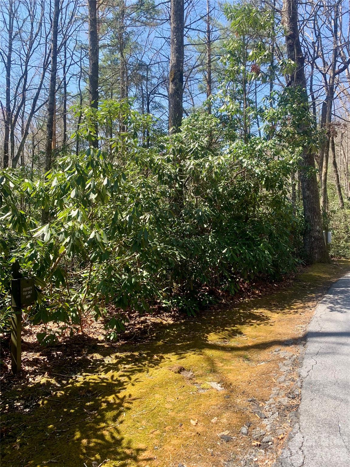 Lot 20a Indian Lake Road Lake Toxaway NC 28747