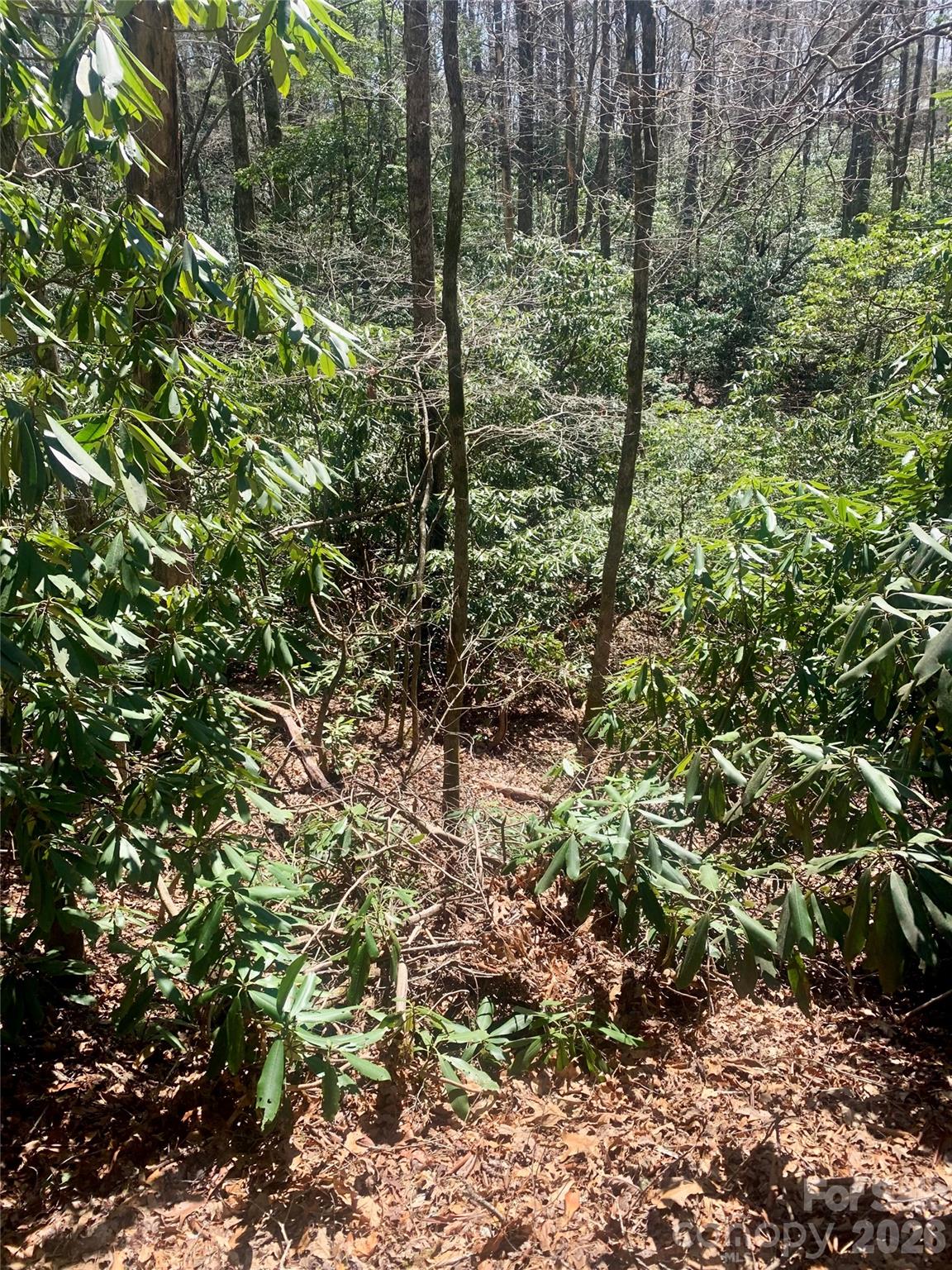 Lot 20a Indian Lake Road Lake Toxaway NC 28747
