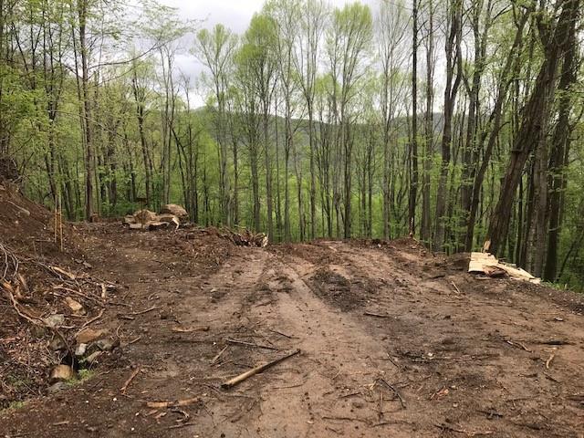 976 Slippery Rock Road Waynesville NC 28785