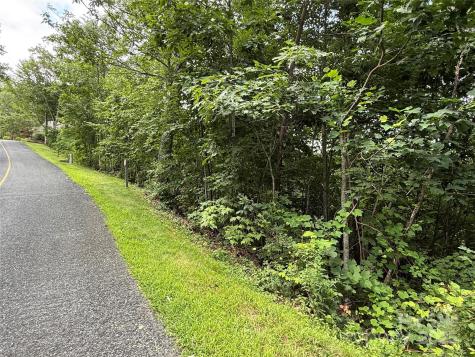 Lot 20 Heritage Ridge Road Burnsville NC 28714