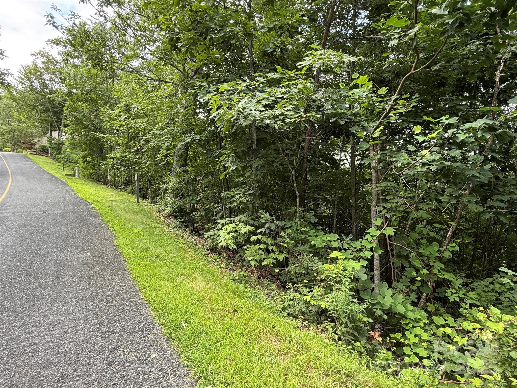 Lot 20 Heritage Ridge Road Burnsville NC 28714