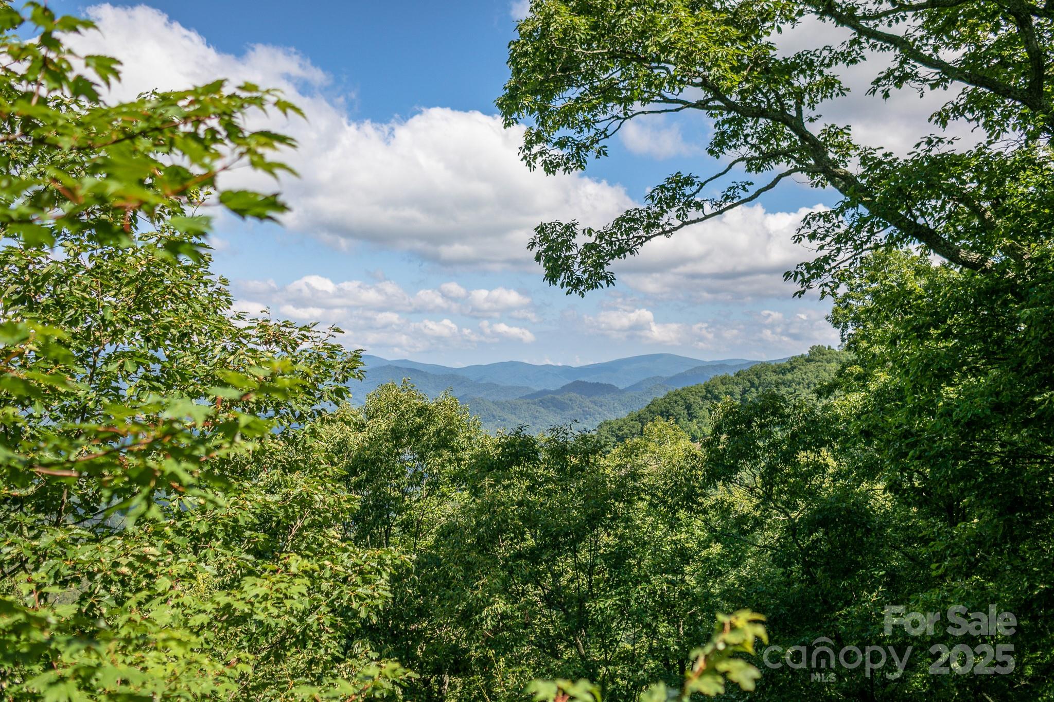 Lot 20 Heritage Ridge Road Burnsville NC 28714