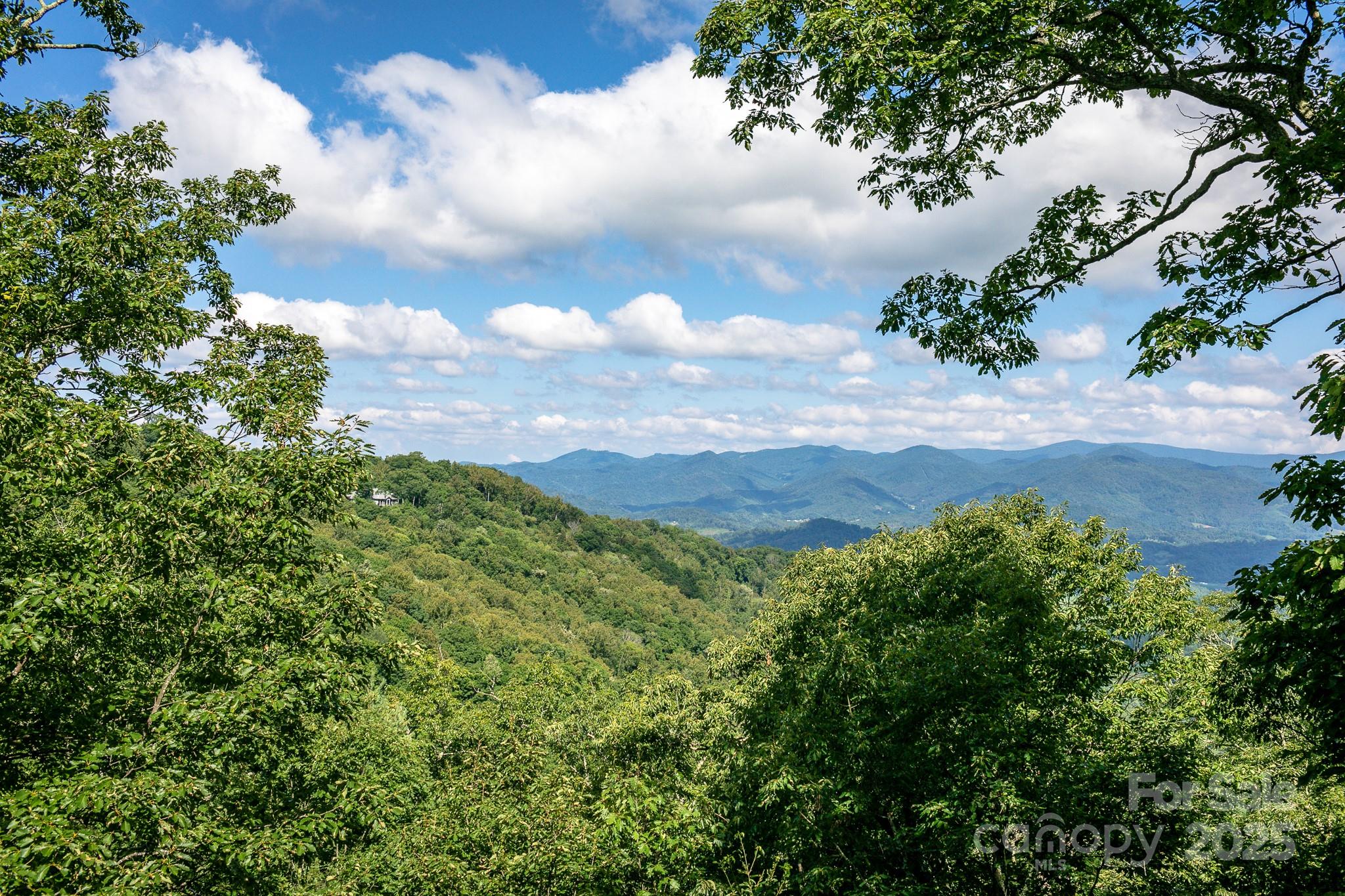 Lot 20 Heritage Ridge Road Burnsville NC 28714