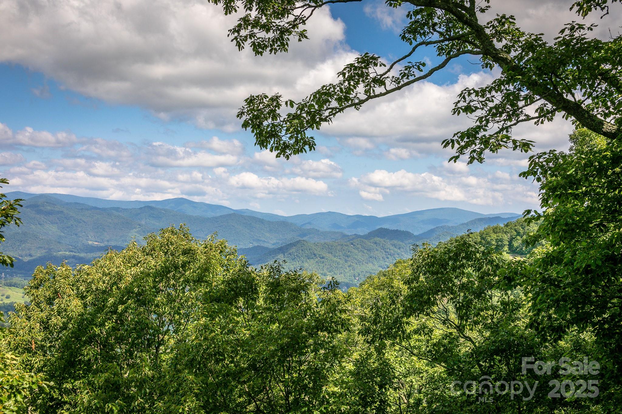 Lot 20 Heritage Ridge Road Burnsville NC 28714