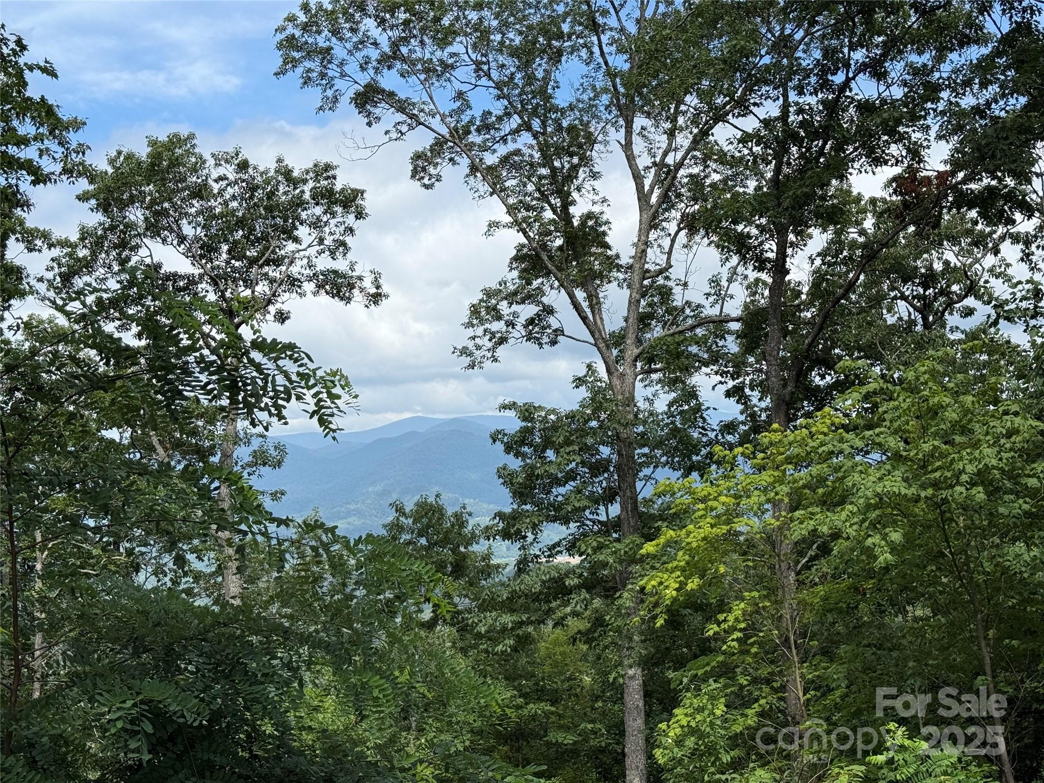 Lot 20 Heritage Ridge Road Burnsville NC 28714