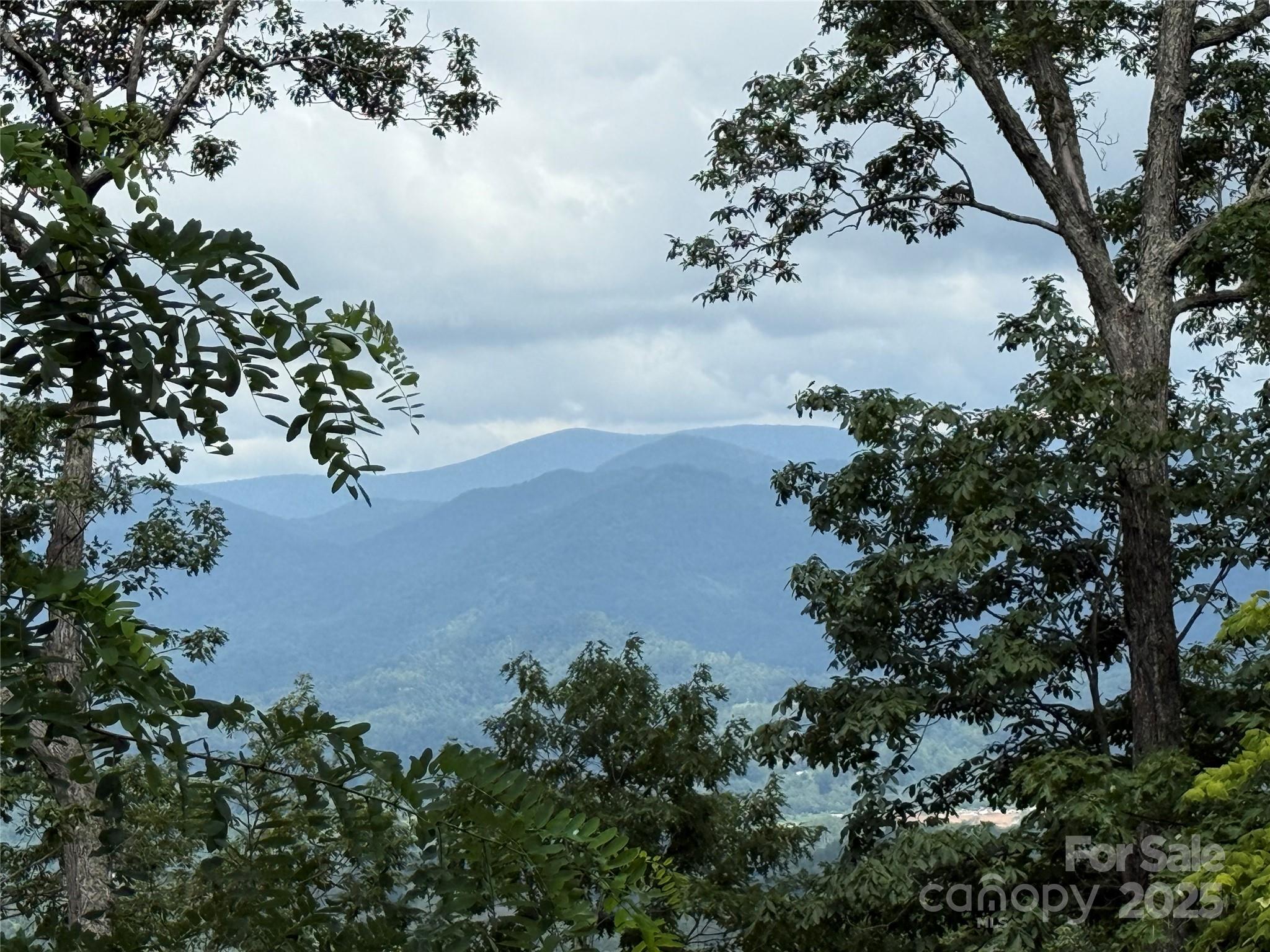 Lot 20 Heritage Ridge Road Burnsville NC 28714