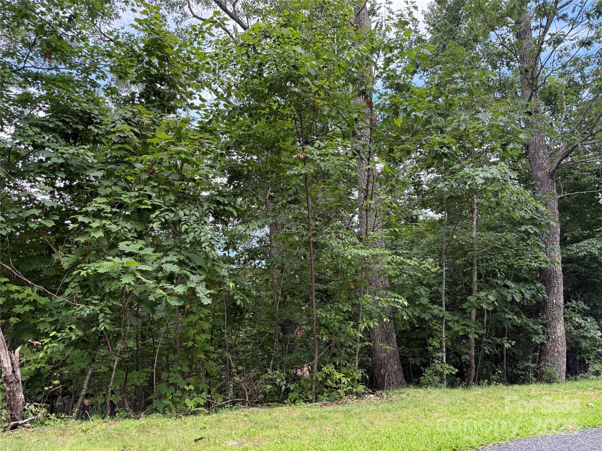 Lot 20 Heritage Ridge Road Burnsville NC 28714