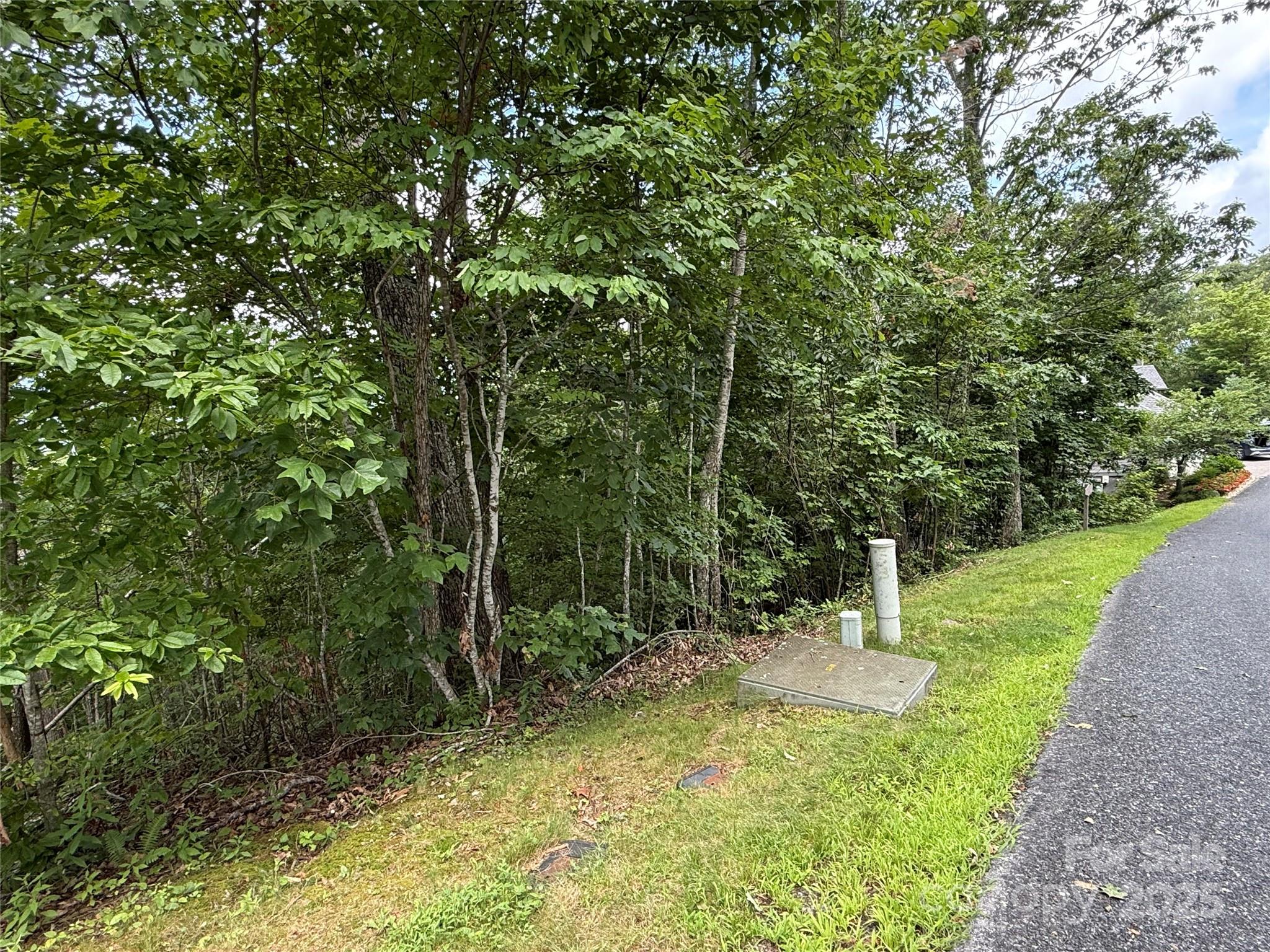 Lot 20 Heritage Ridge Road Burnsville NC 28714