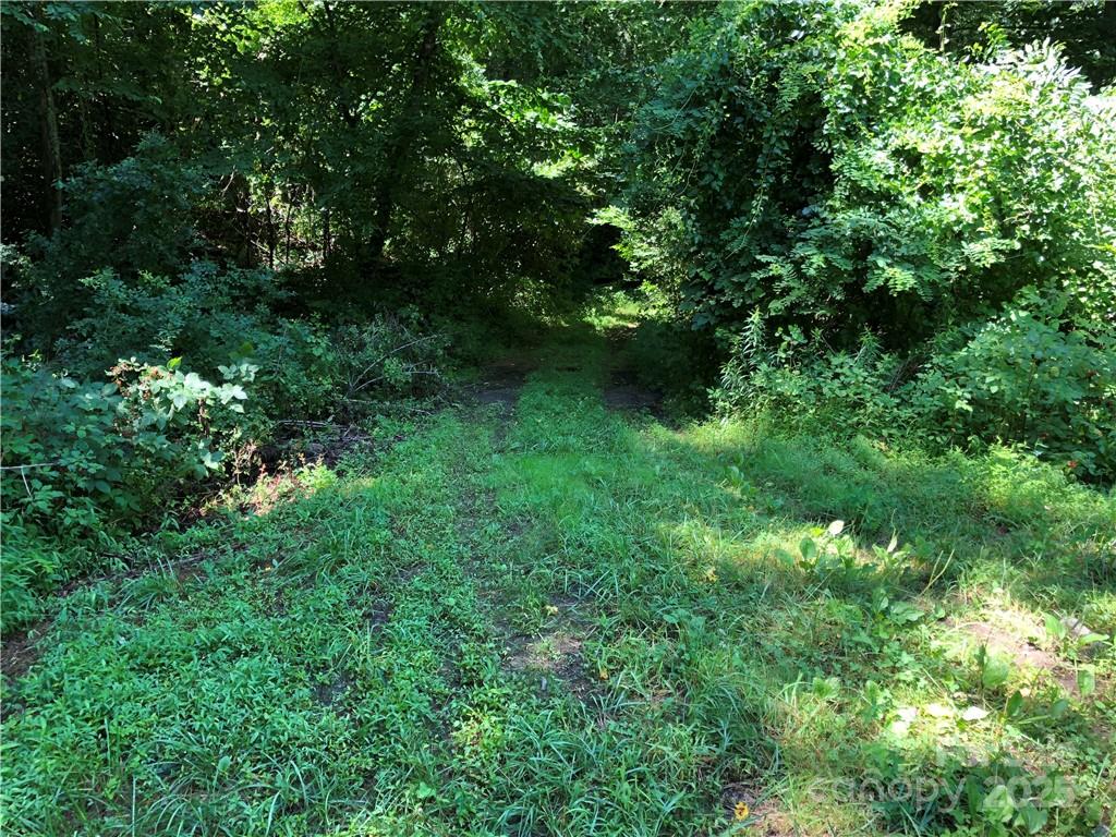 10 Acres Charlotte Highway Asheville NC 28803