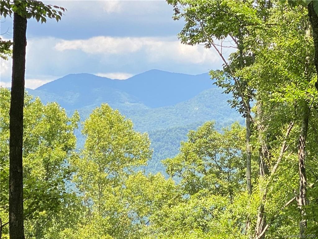 1251 Arborcrest Way Swannanoa NC 28778