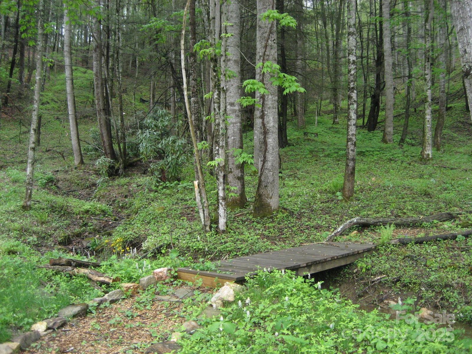 10 Katua Trail Maggie Valley NC 28751