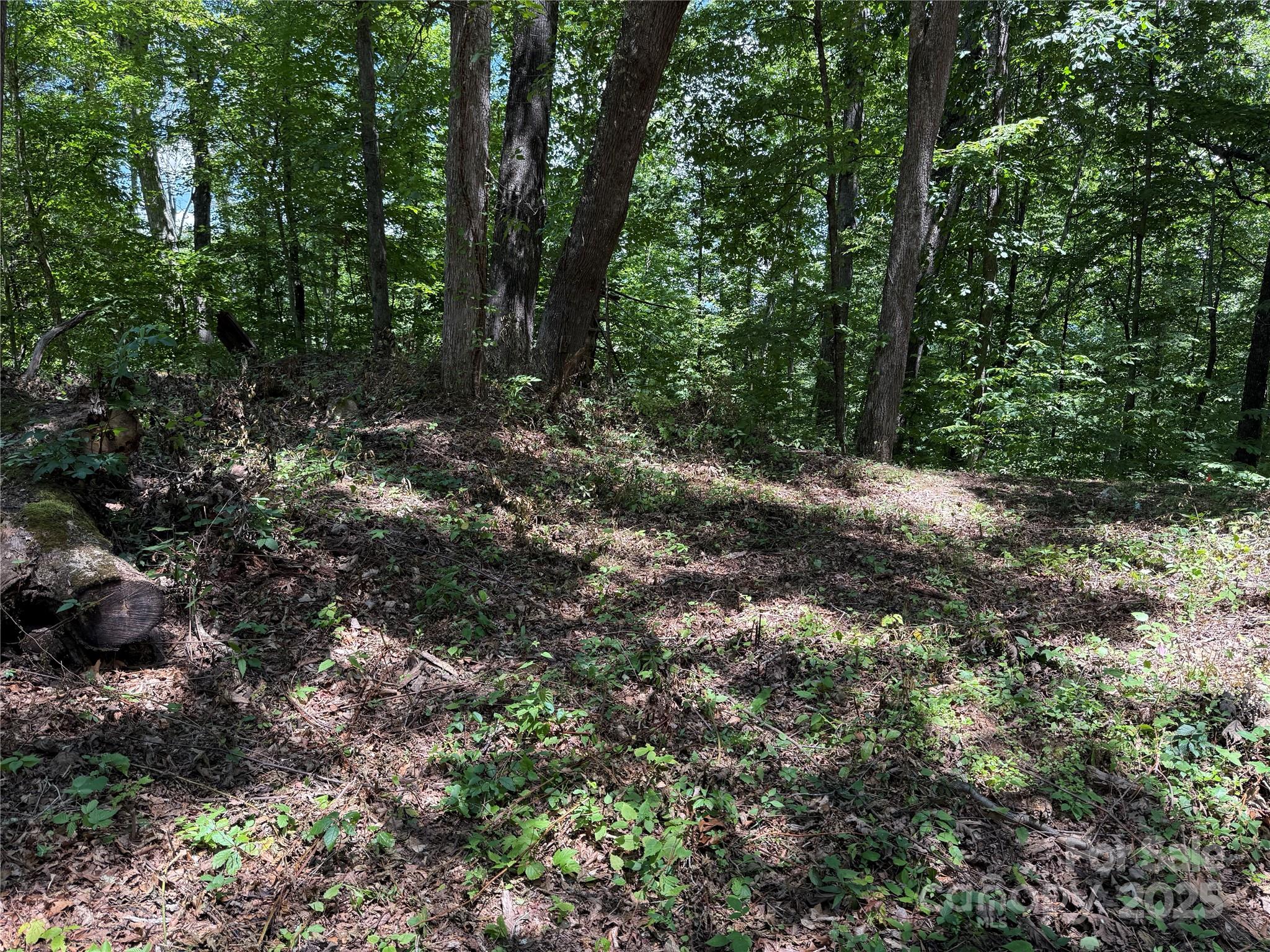 10 Katua Trail Maggie Valley NC 28751