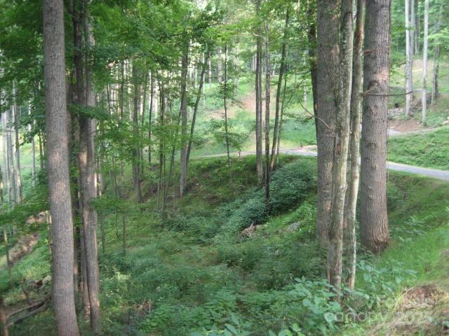 10 Katua Trail Maggie Valley NC 28751